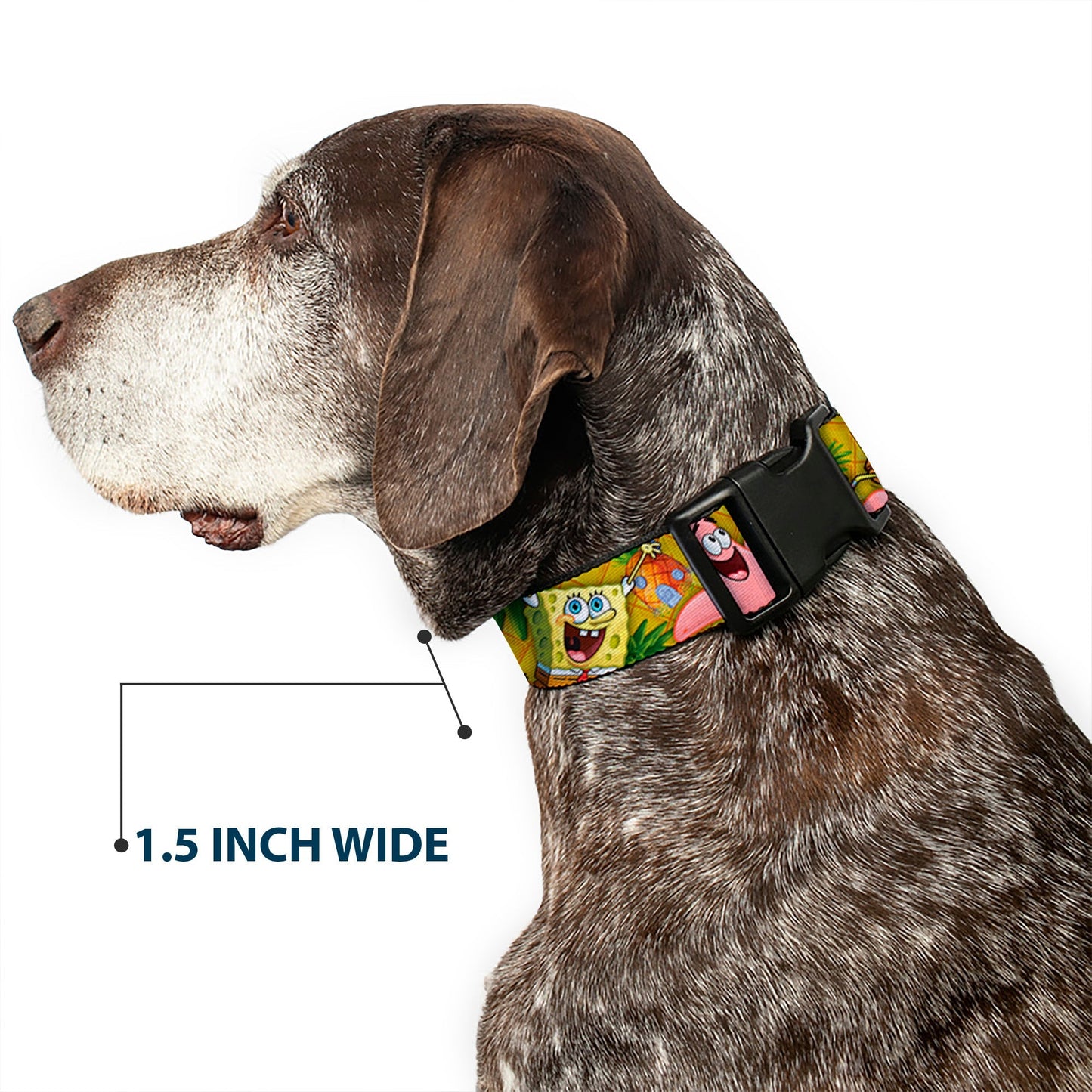 SpongeBob SquarePants Dog Collar SpongeBob & Patrick Starfish Poses Pineapple Design Gold - Paramount Shop