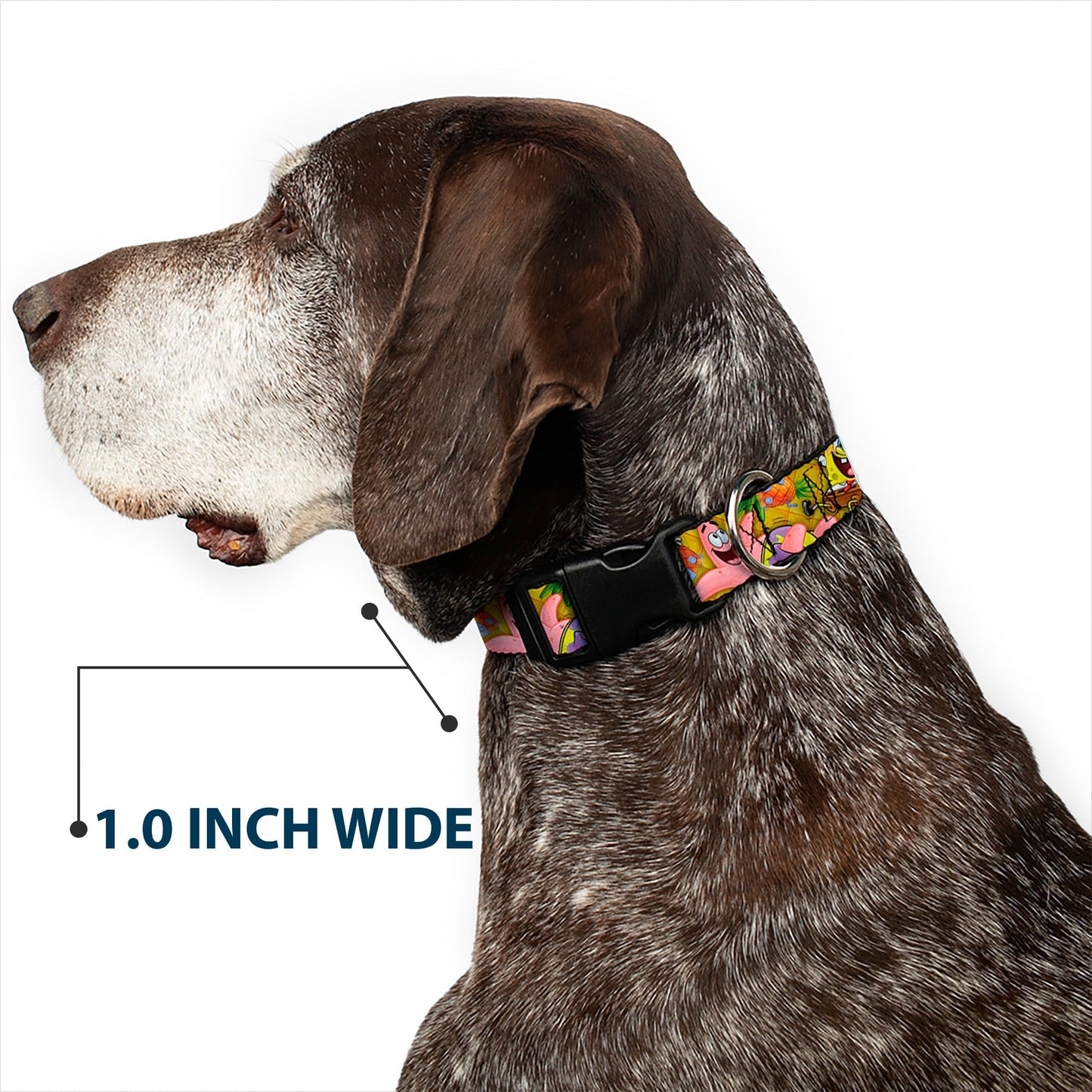 SpongeBob SquarePants Dog Collar SpongeBob & Patrick Starfish Poses Pineapple Design Gold - Paramount Shop