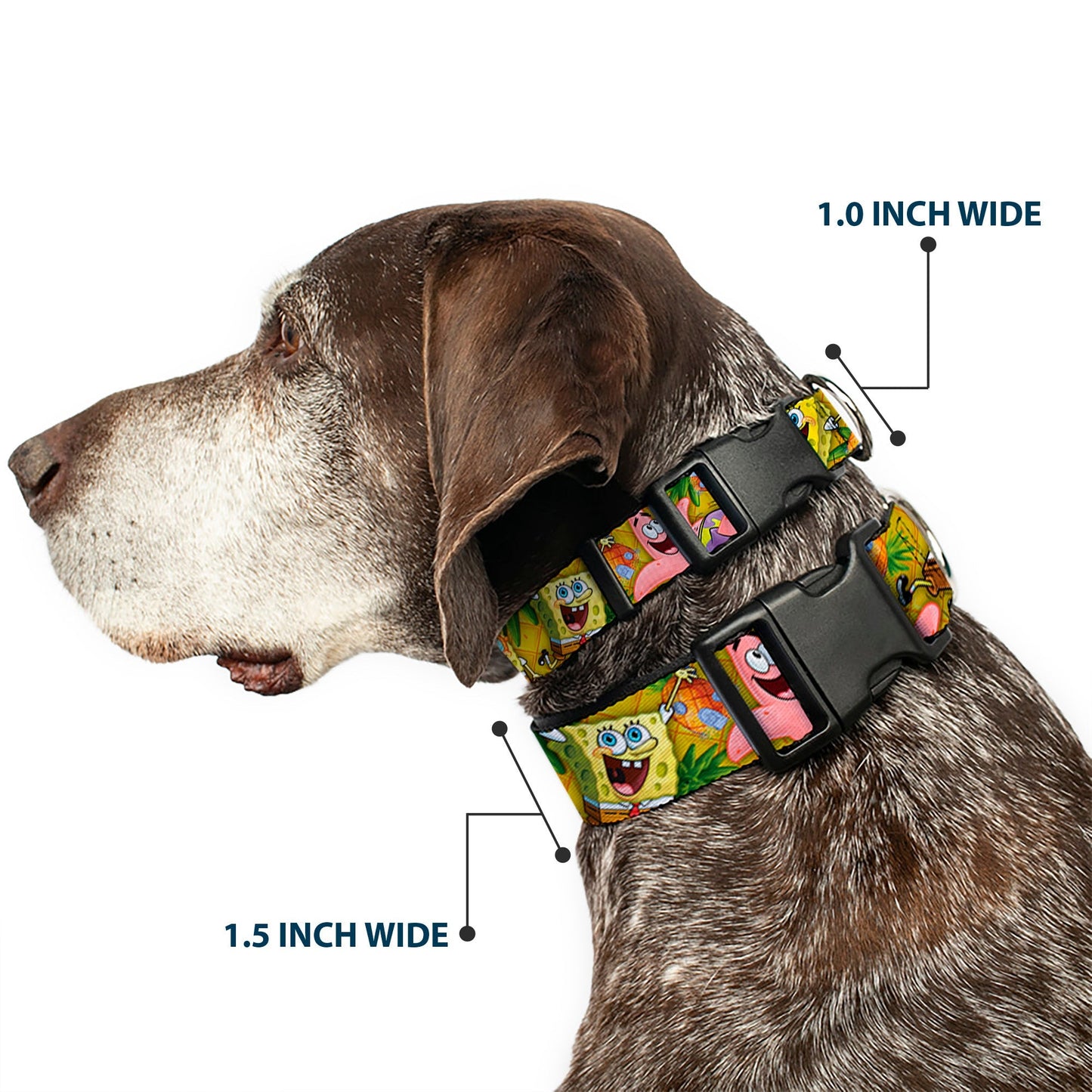 SpongeBob SquarePants Dog Collar SpongeBob & Patrick Starfish Poses Pineapple Design Gold - Paramount Shop