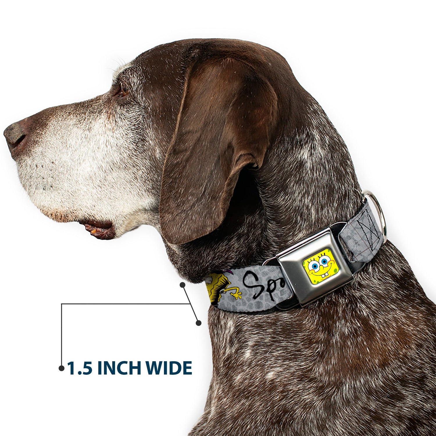 SpongeBob SquarePants Dog Seatbelt Collar SpongeBob Face Close - Up Adjustable Full Color - Paramount Shop