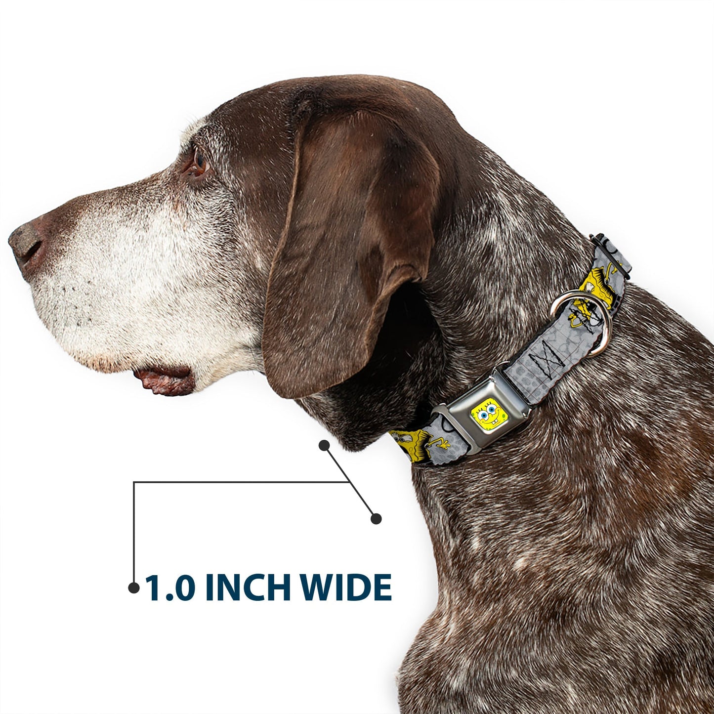 SpongeBob SquarePants Dog Seatbelt Collar SpongeBob Face Close - Up Adjustable Full Color - Paramount Shop