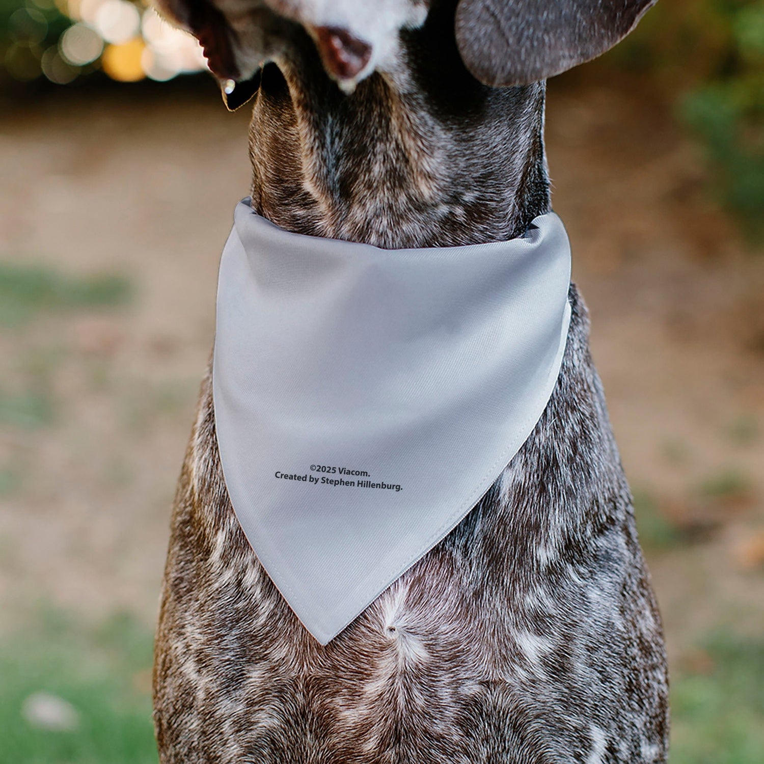 SpongeBob SquarePants Pet Bandana Character Close - Up Double - Sided Slip - On - Paramount Shop
