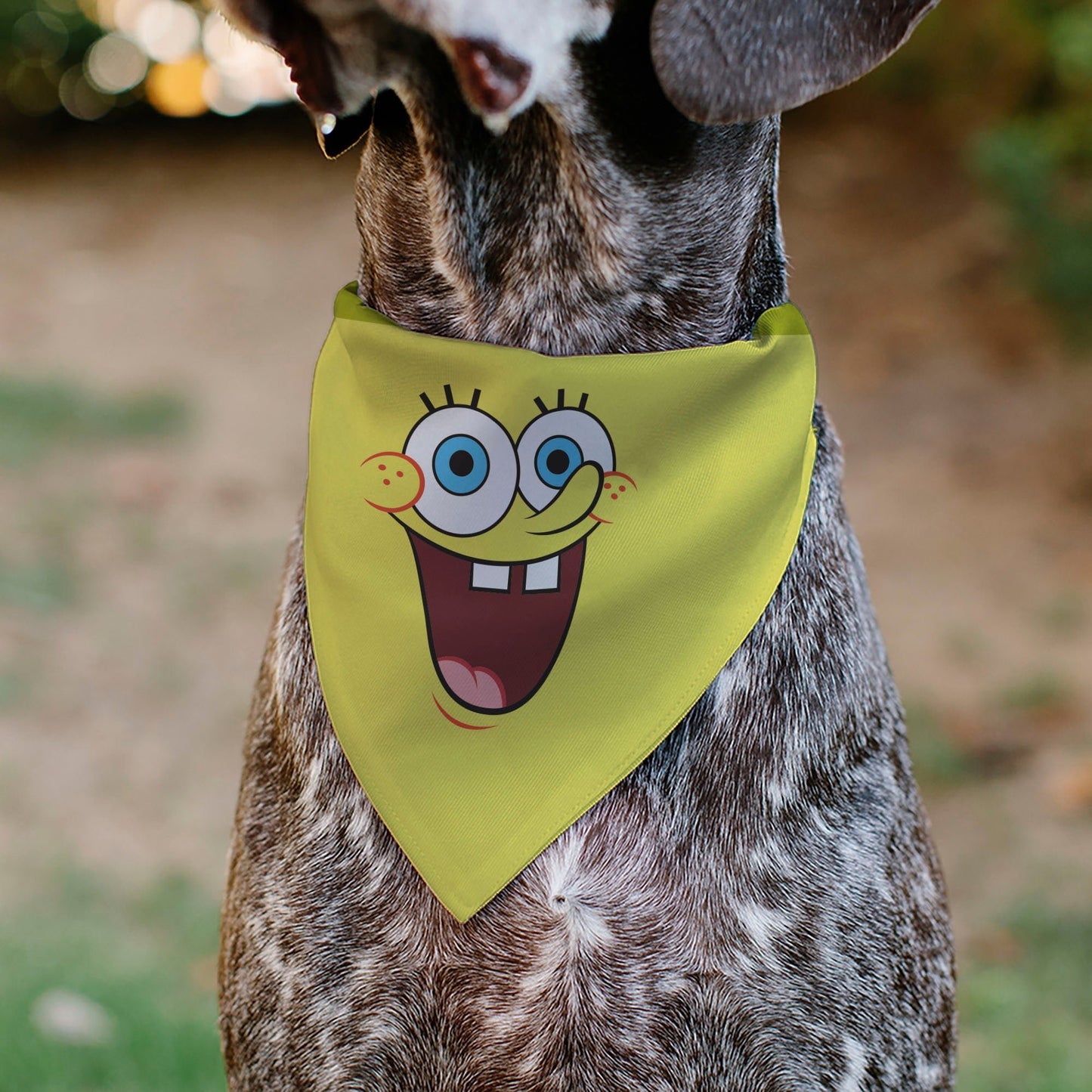 SpongeBob SquarePants Pet Bandana Excited Smile Expression Over - the - Collar Double - Sided Print Yellow - Paramount Shop