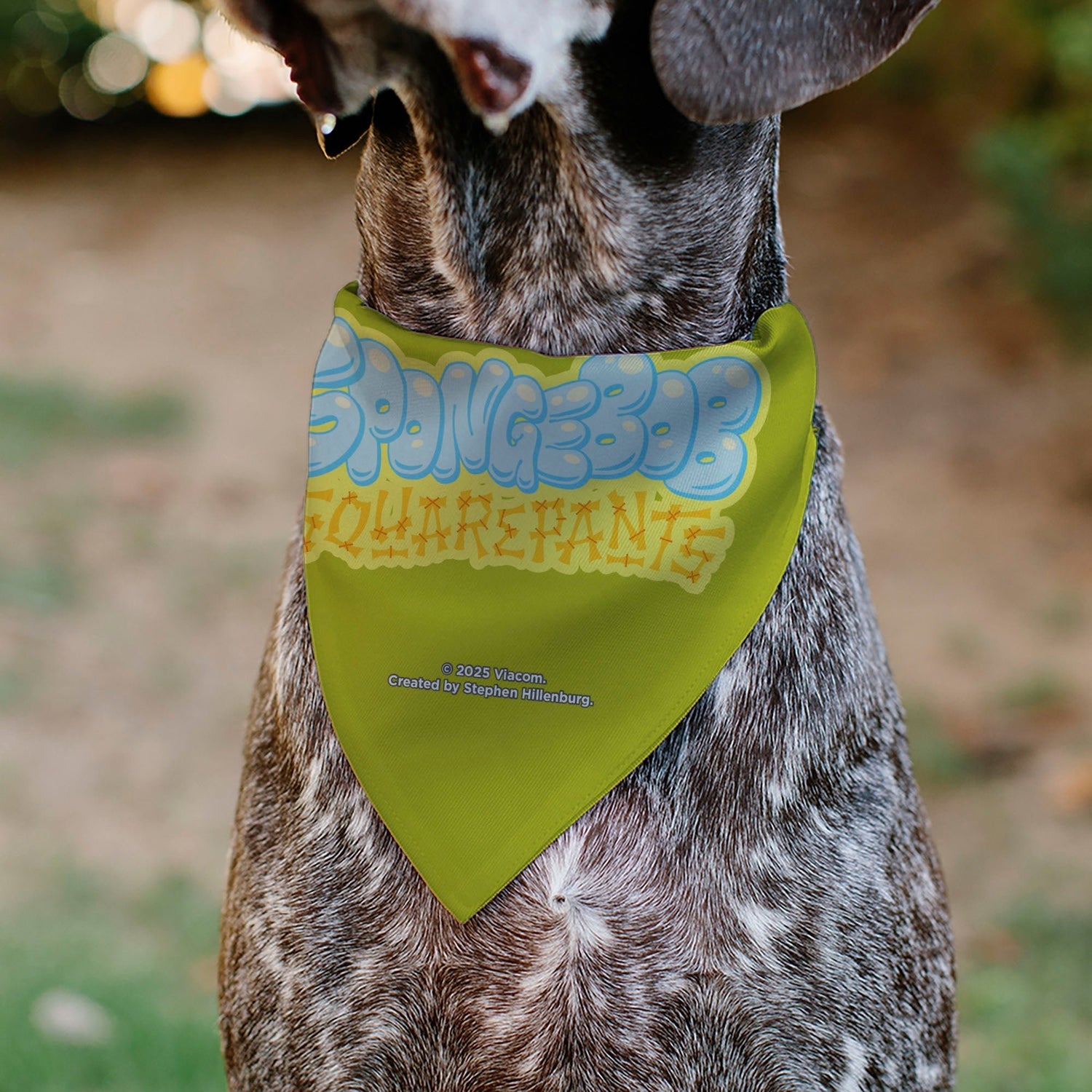 SpongeBob SquarePants Pet Bandana Excited Smile Expression Over - the - Collar Double - Sided Print Yellow - Paramount Shop