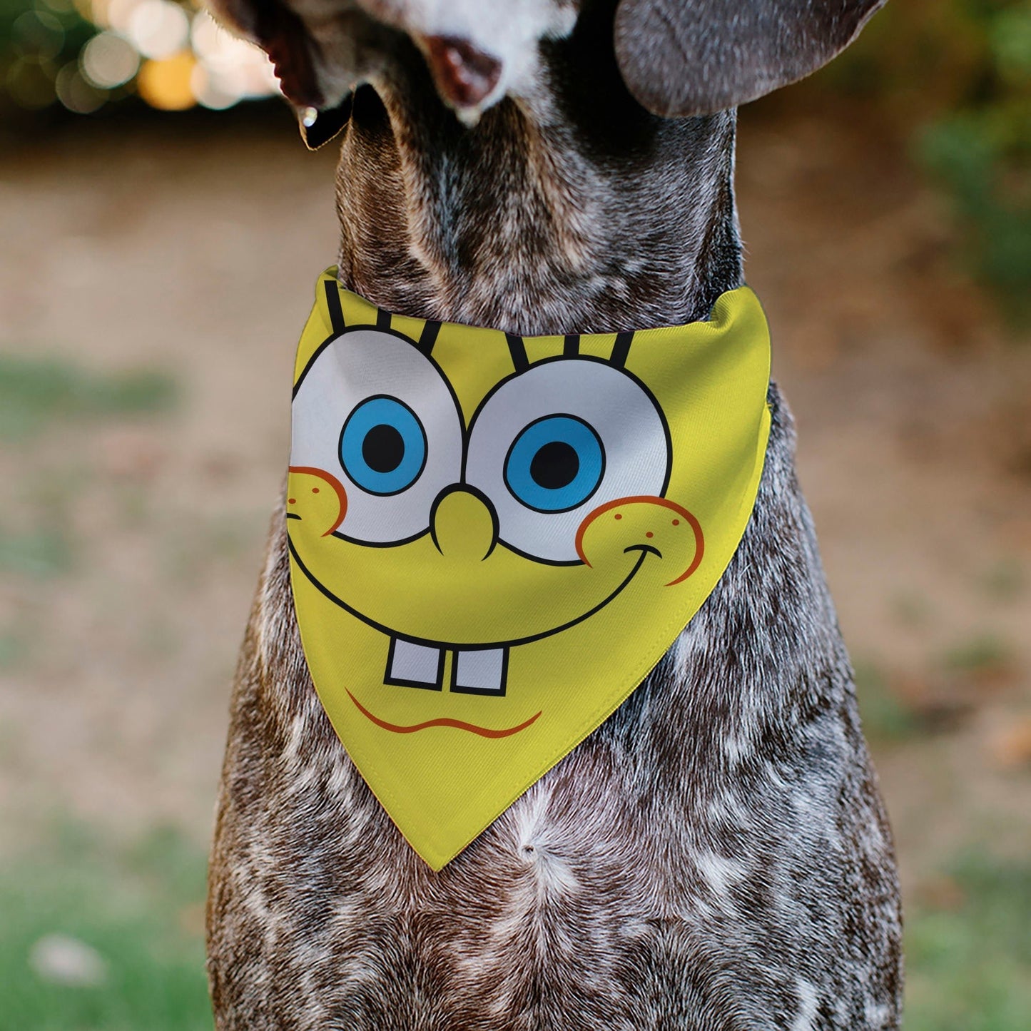 SpongeBob SquarePants Pet Bandana Face Close - Up Over - the - Collar Double - Sided Yellow - Paramount Shop