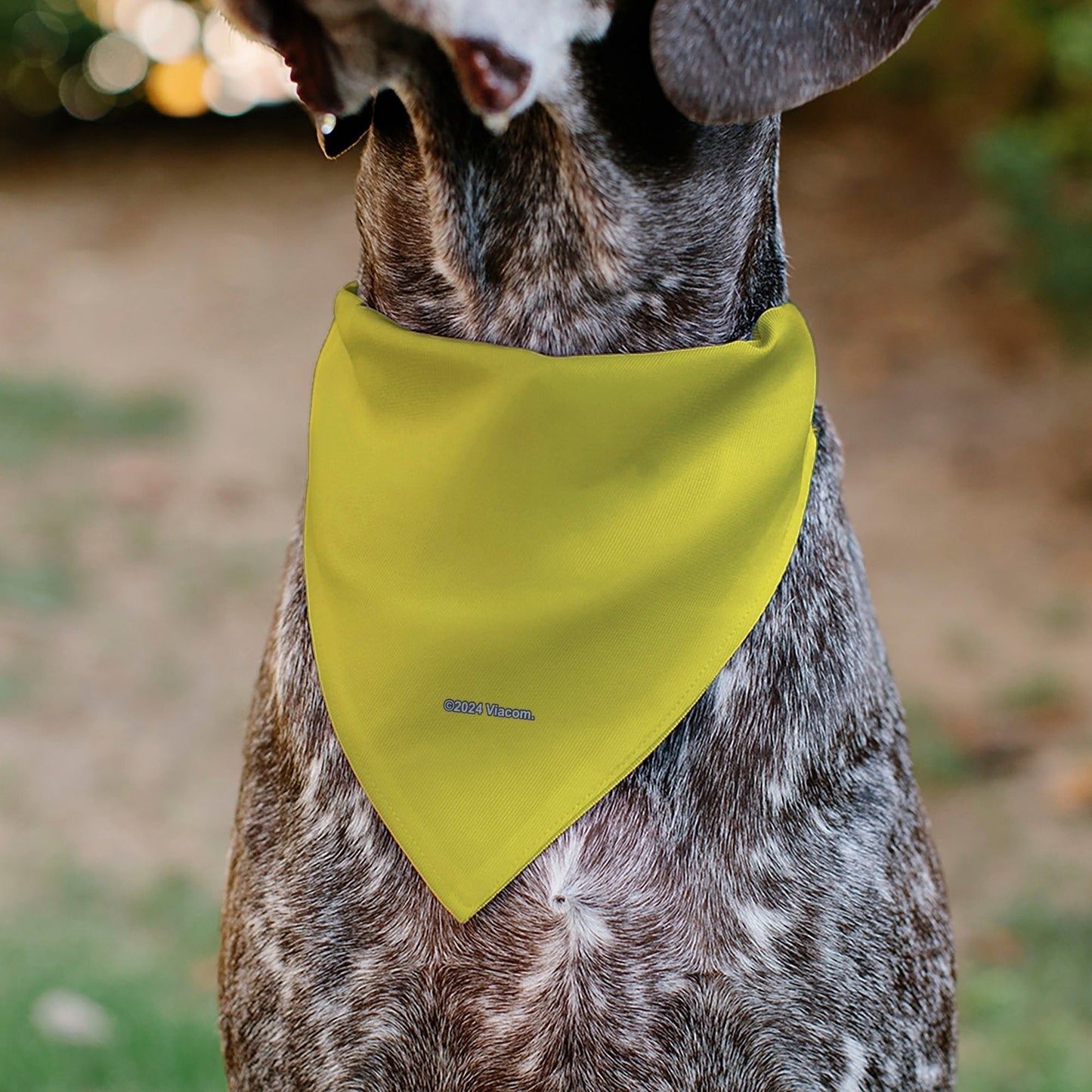 SpongeBob SquarePants Pet Bandana Face Close - Up Over - the - Collar Double - Sided Yellow - Paramount Shop