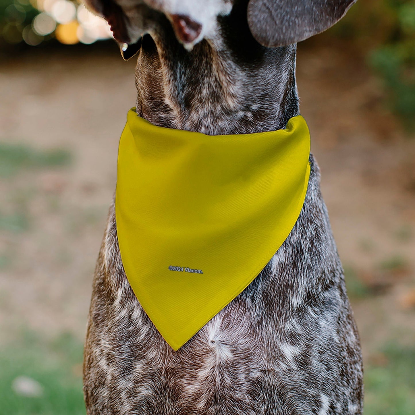 SpongeBob SquarePants Pet Bandana Friends SOAK UP POSITIVITY Pose Over the Collar Double - Sided Yellow - Paramount Shop