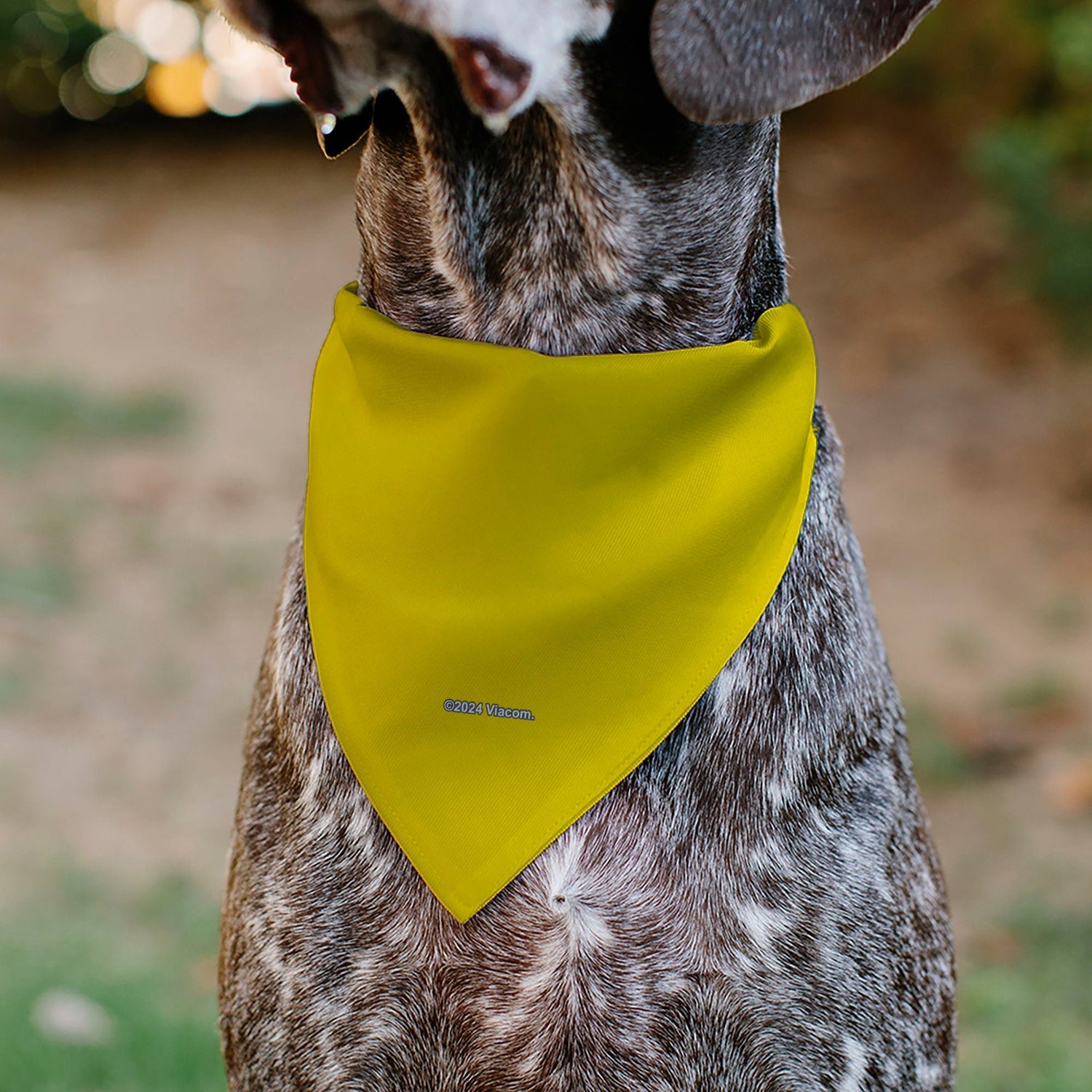 SpongeBob SquarePants Pet Bandana Friends SOAK UP POSITIVITY Pose Over the Collar Double - Sided Yellow - Paramount Shop