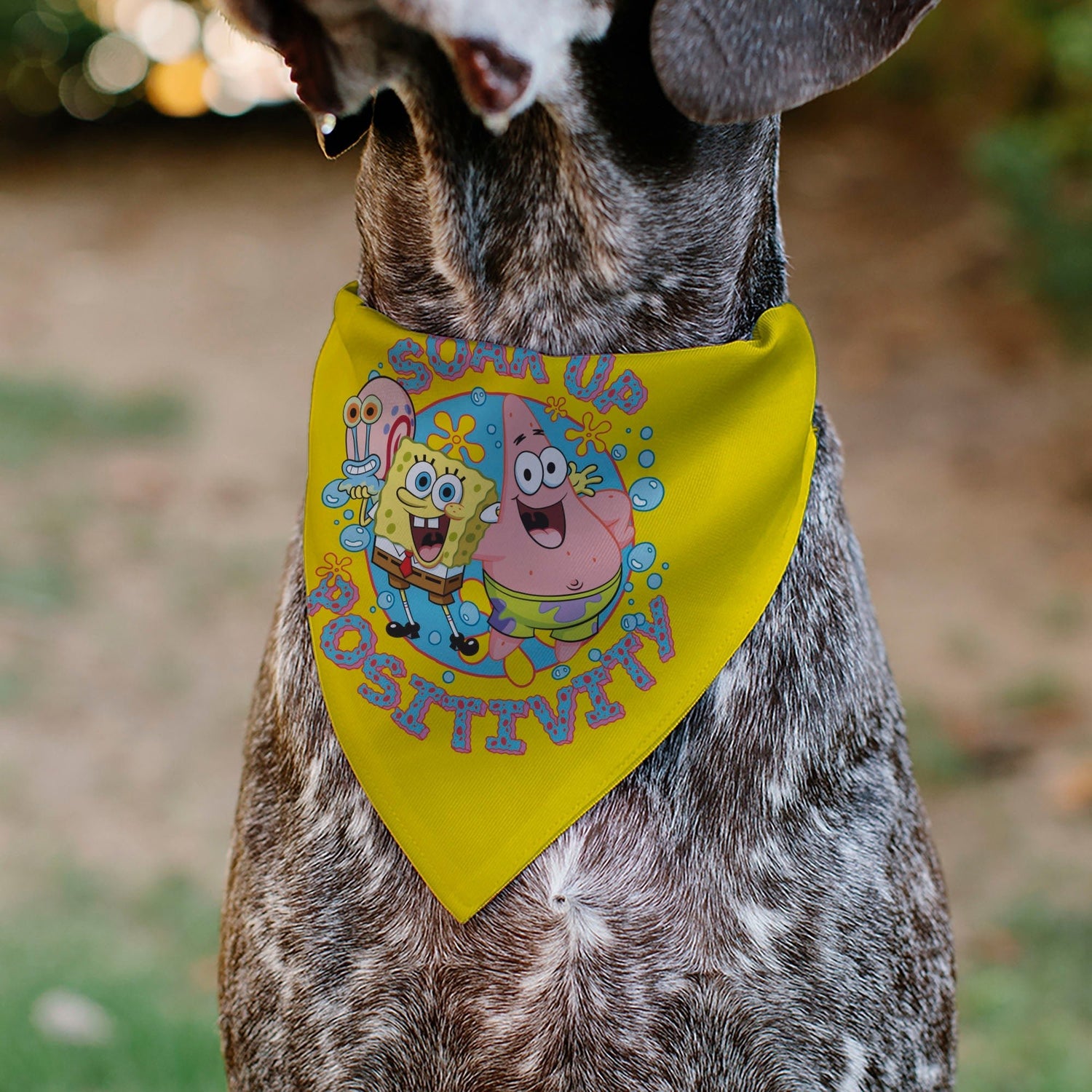 SpongeBob SquarePants Pet Bandana Friends SOAK UP POSITIVITY Pose Over the Collar Double - Sided Yellow - Paramount Shop