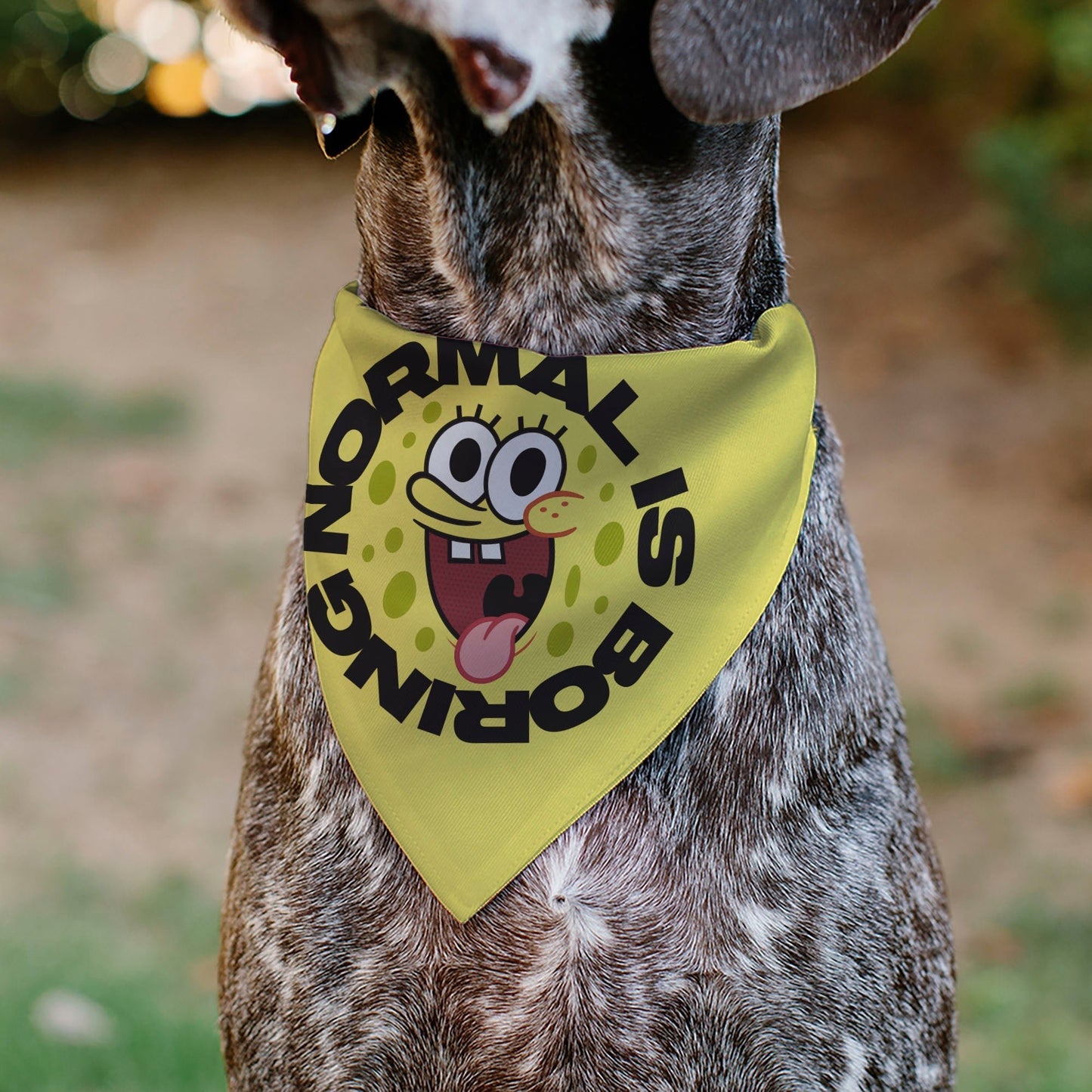 SpongeBob SquarePants Pet Bandana NORMAL IS BORING Pose Over - the - Collar Yellow. - Paramount Shop