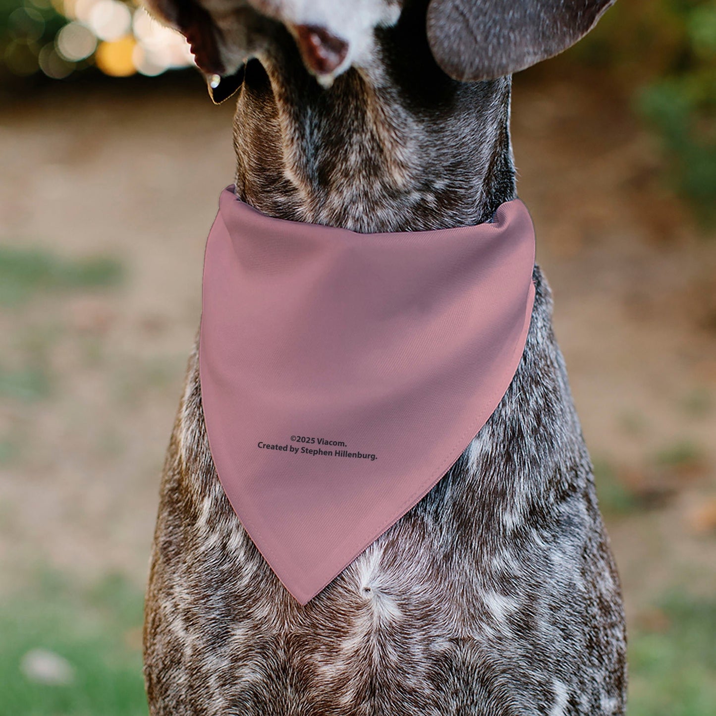 SpongeBob SquarePants Pet Bandana Patrick Star Close - Up Collar Slip Double - Sided Print Pink - Paramount Shop