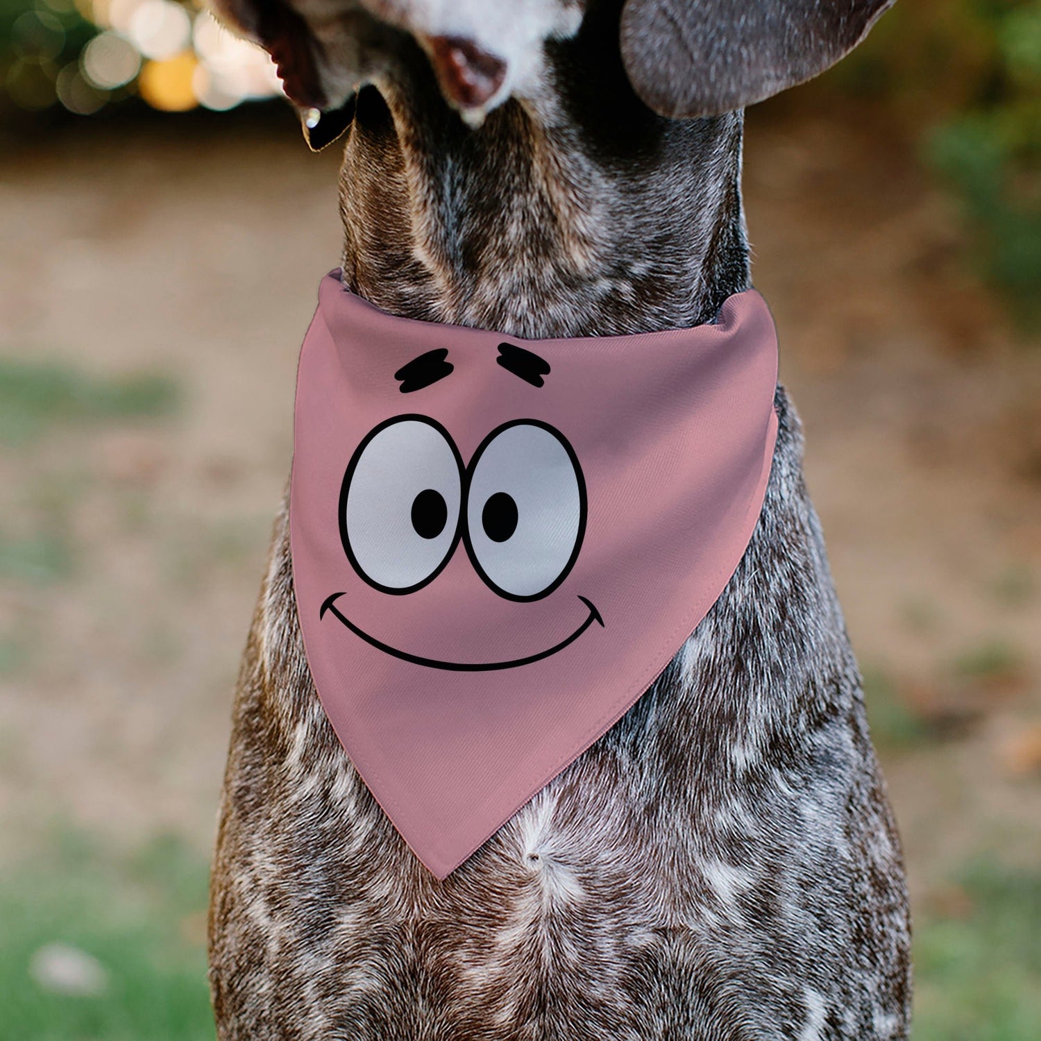 SpongeBob SquarePants Pet Bandana Patrick Star Close - Up Collar Slip Double - Sided Print Pink - Paramount Shop