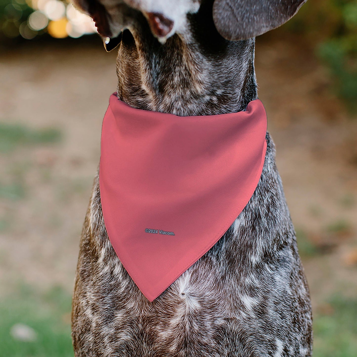 SpongeBob SquarePants Pet Bandana Patrick Star Face Close - Up Pink - Paramount Shop