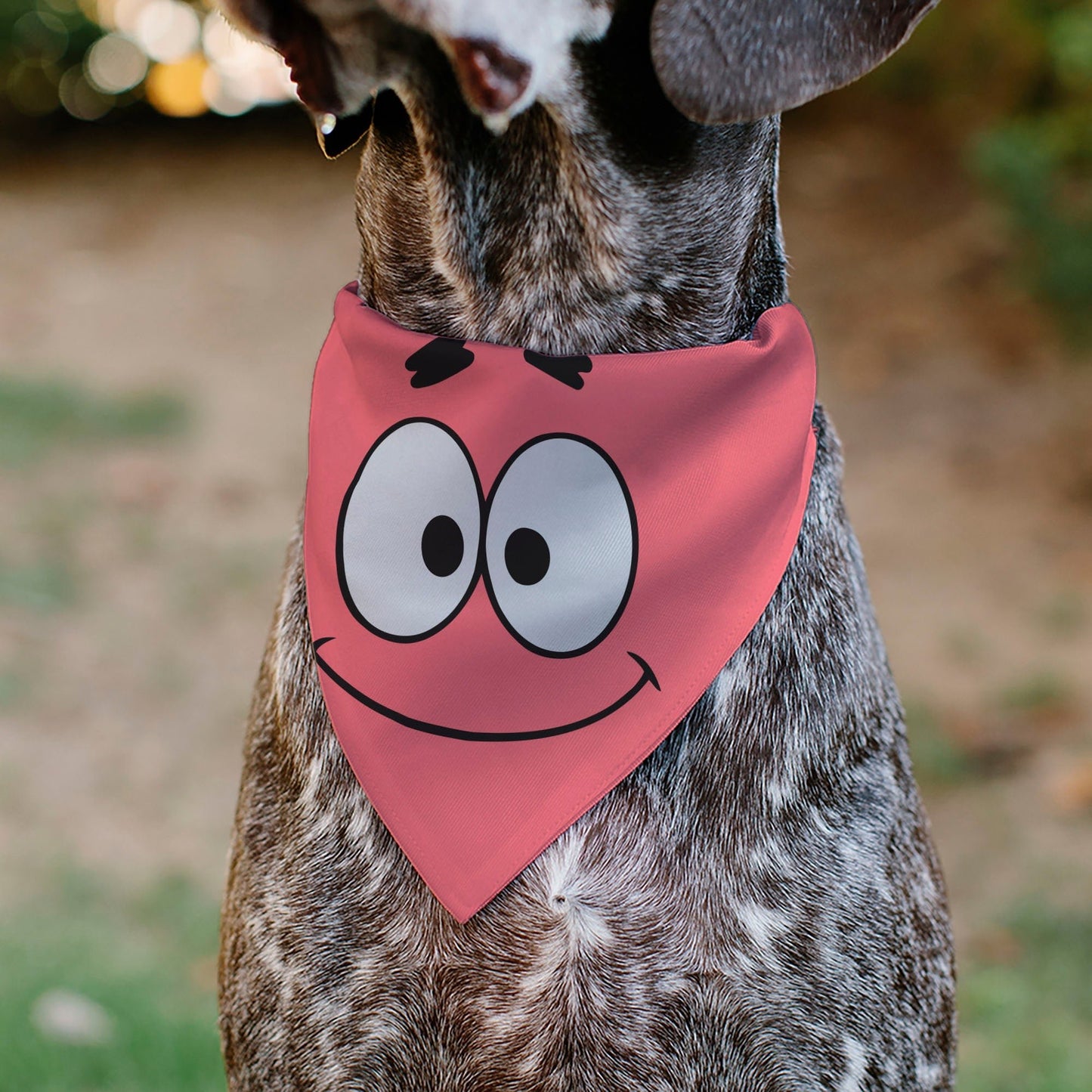 SpongeBob SquarePants Pet Bandana Patrick Star Face Close - Up Pink - Paramount Shop