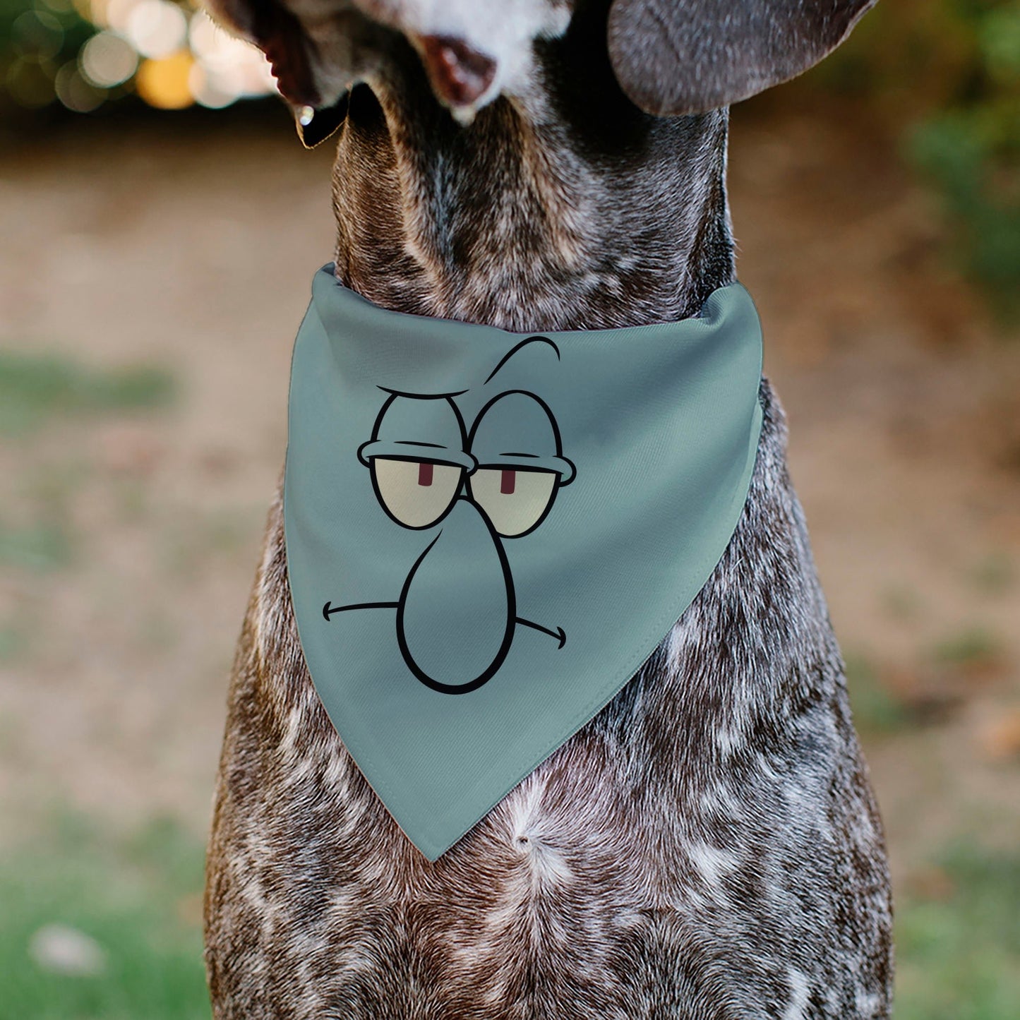 SpongeBob SquarePants Pet Bandana Squidward Close - Up Over the Collar Blue - Paramount Shop