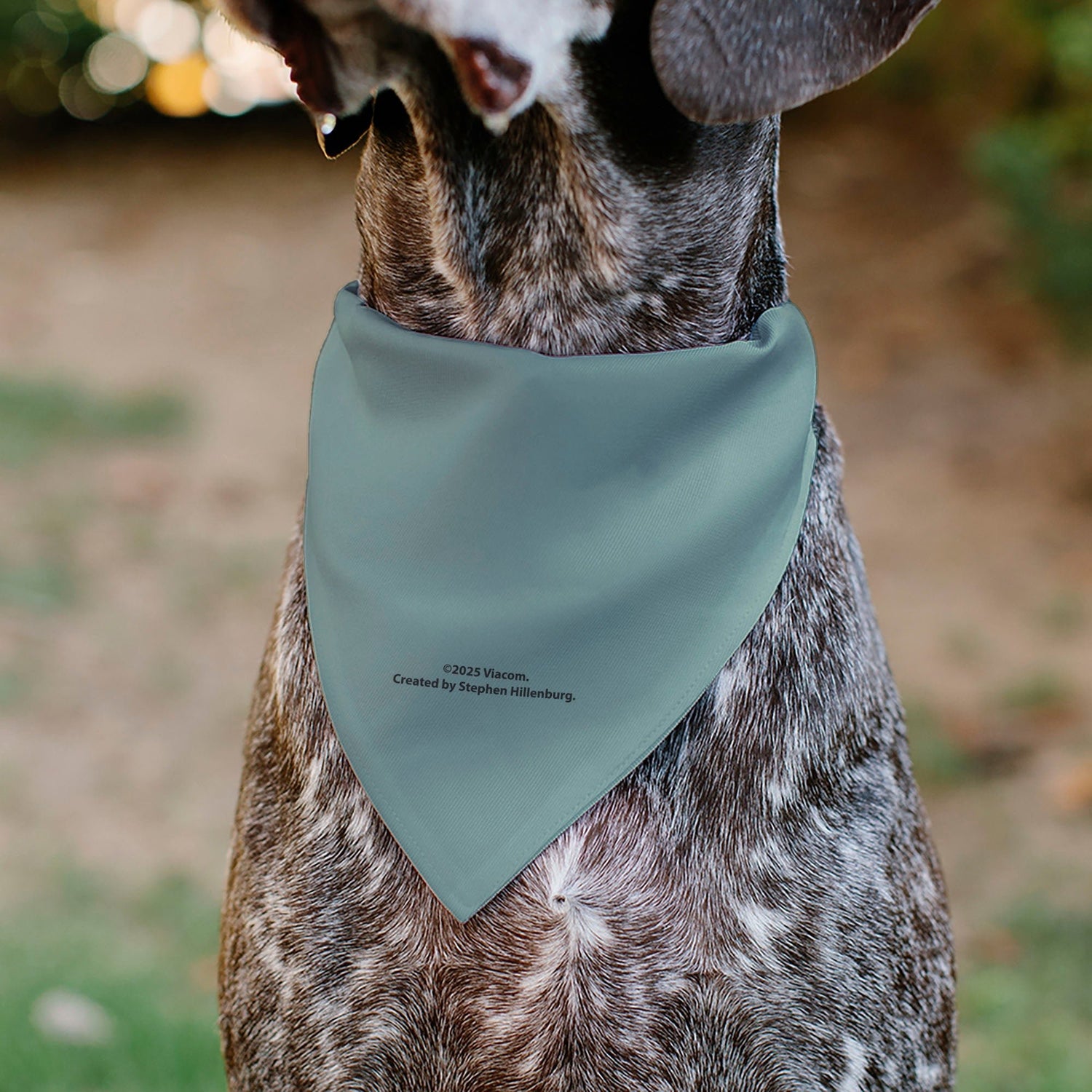 SpongeBob SquarePants Pet Bandana Squidward Close - Up Over the Collar Blue - Paramount Shop