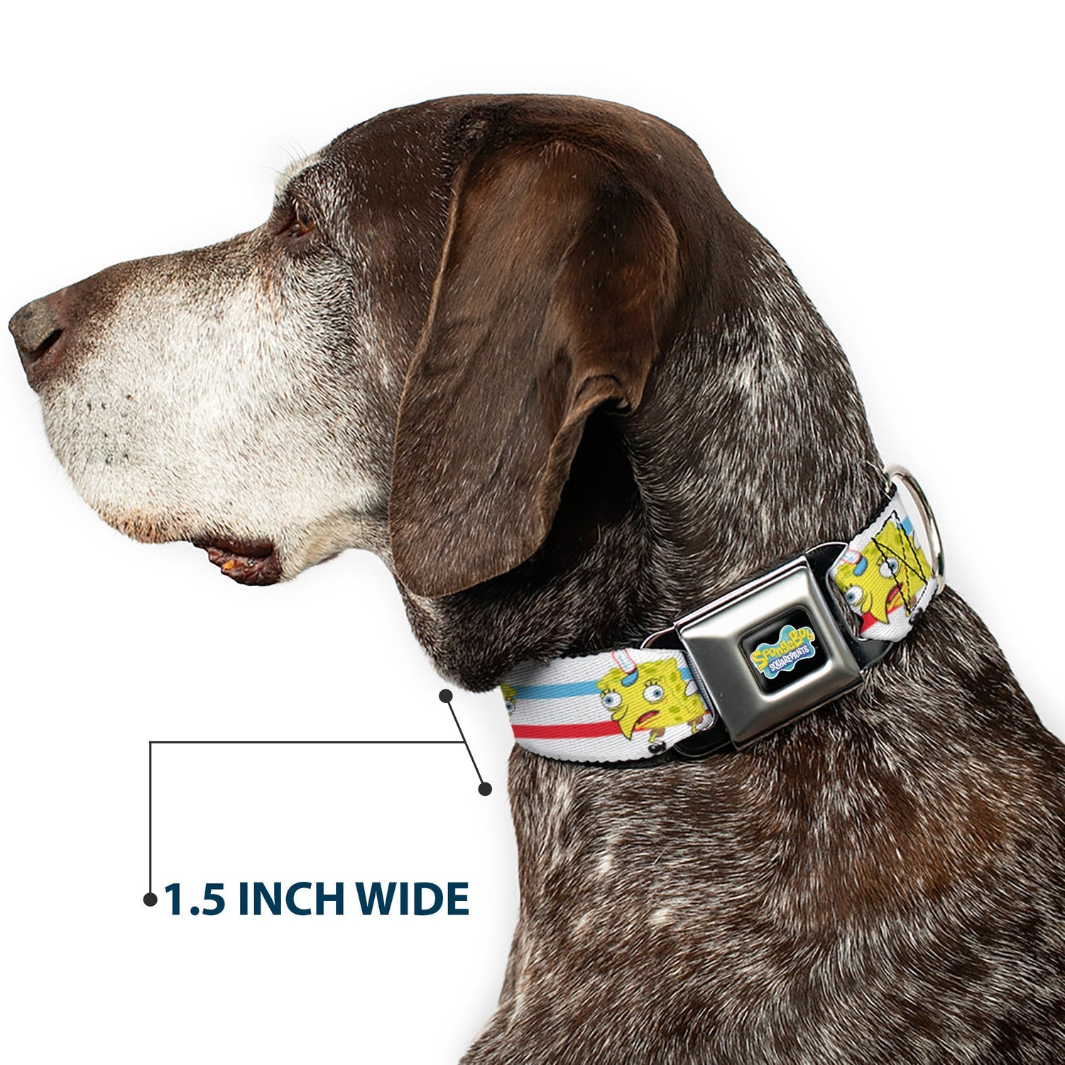 SpongeBob SquarePants Seatbelt Dog Collar Mocking SpongeBob Pose Stripe Black Full Color - Paramount Shop