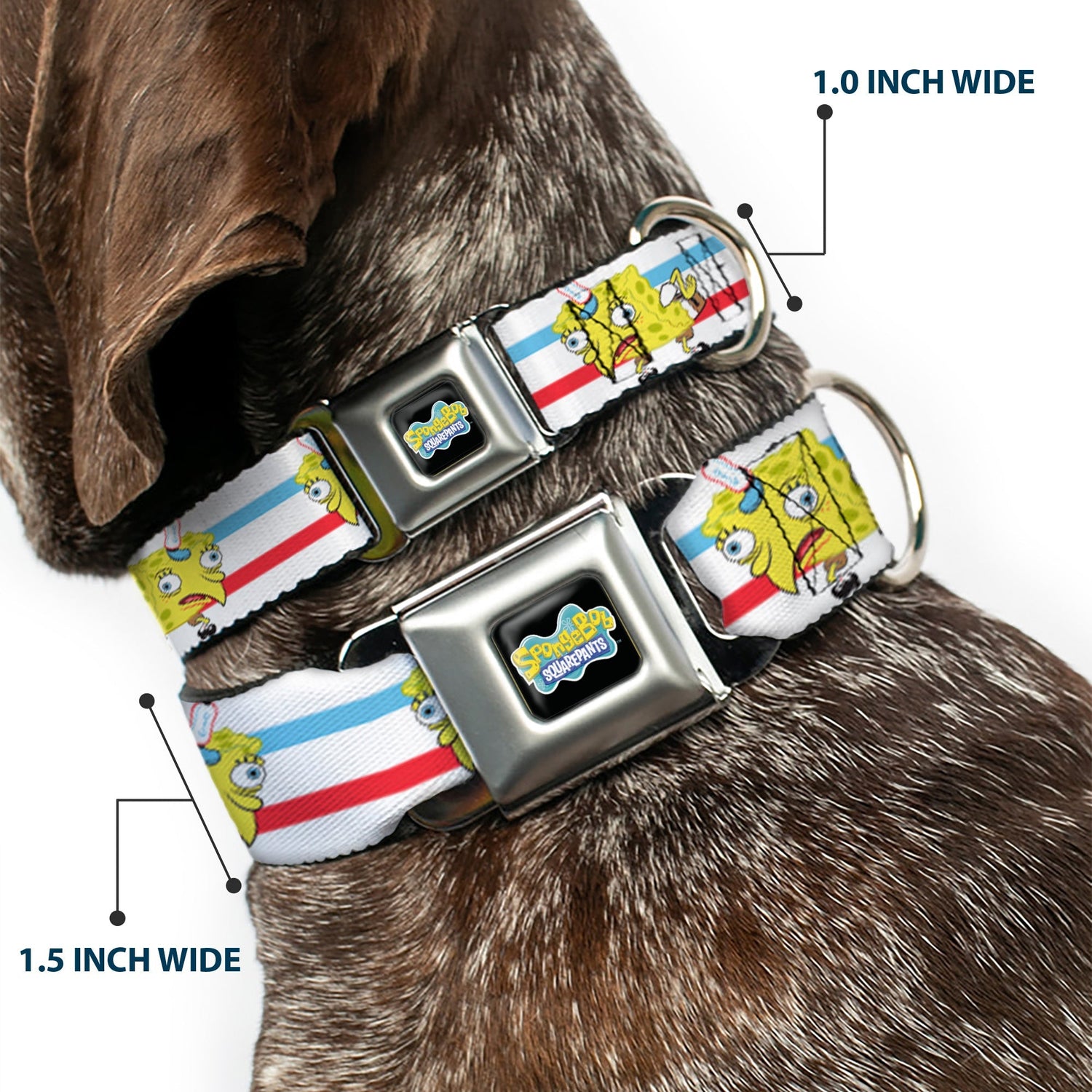 SpongeBob SquarePants Seatbelt Dog Collar Mocking SpongeBob Pose Stripe Black Full Color - Paramount Shop