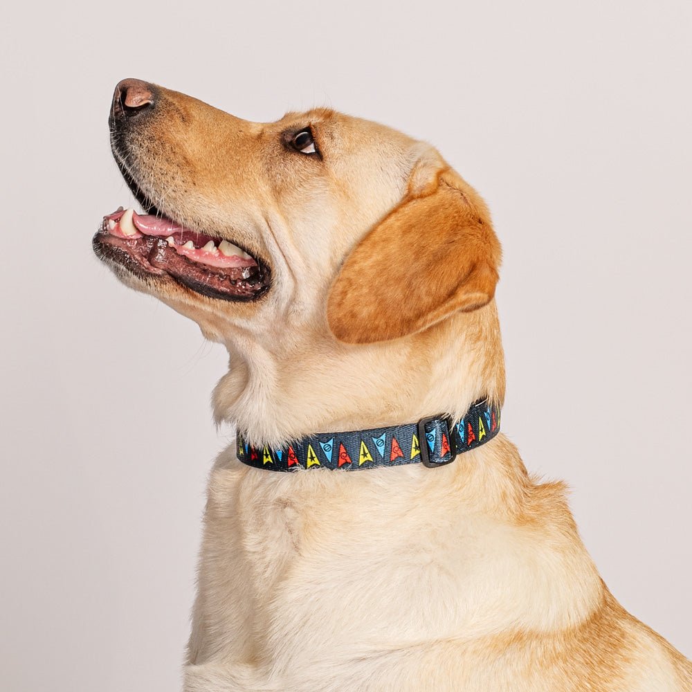 Star Trek Deltas Pet Collar - Paramount Shop
