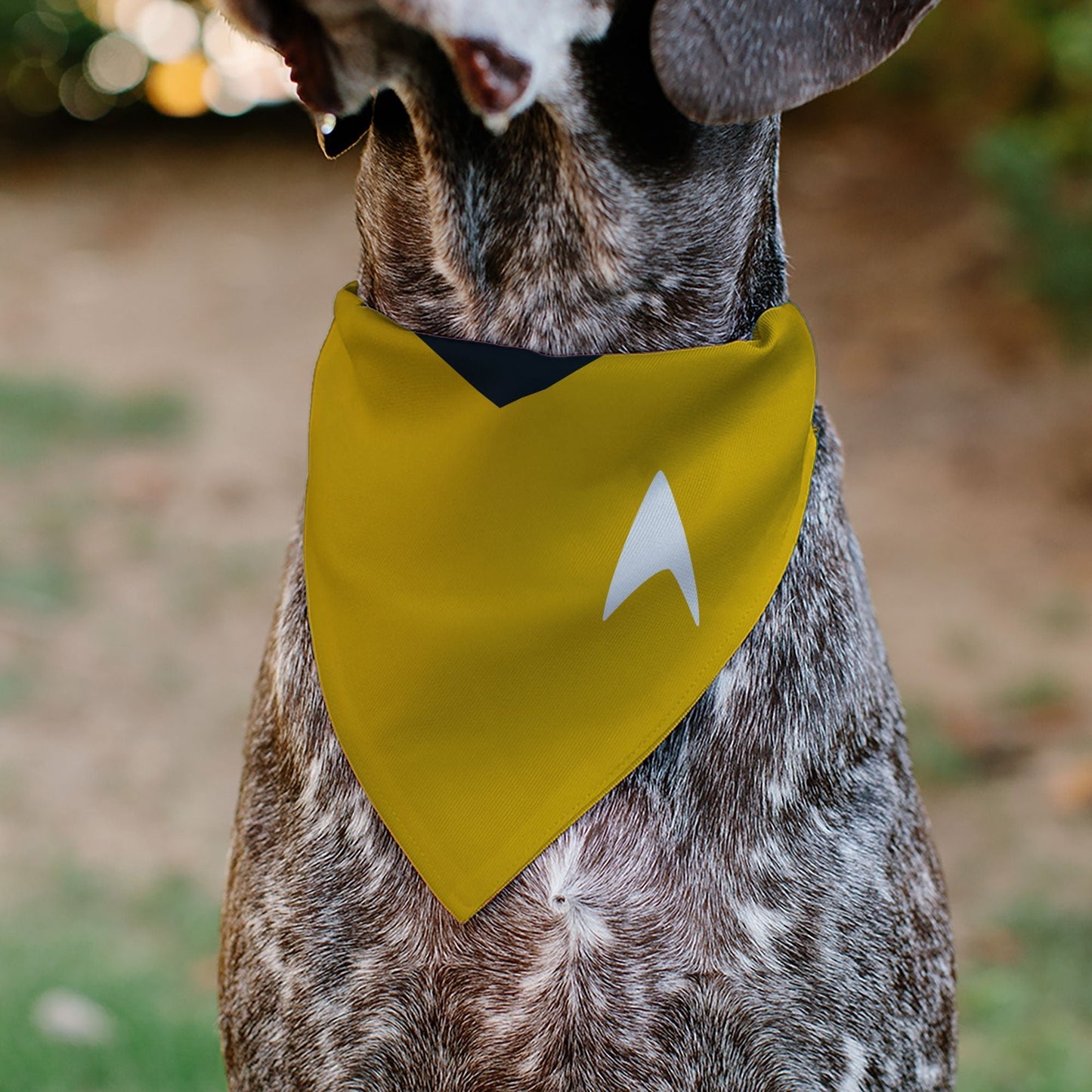 Star Trek Original Series Gold Command Uniform Pet Bandana - Paramount Shop