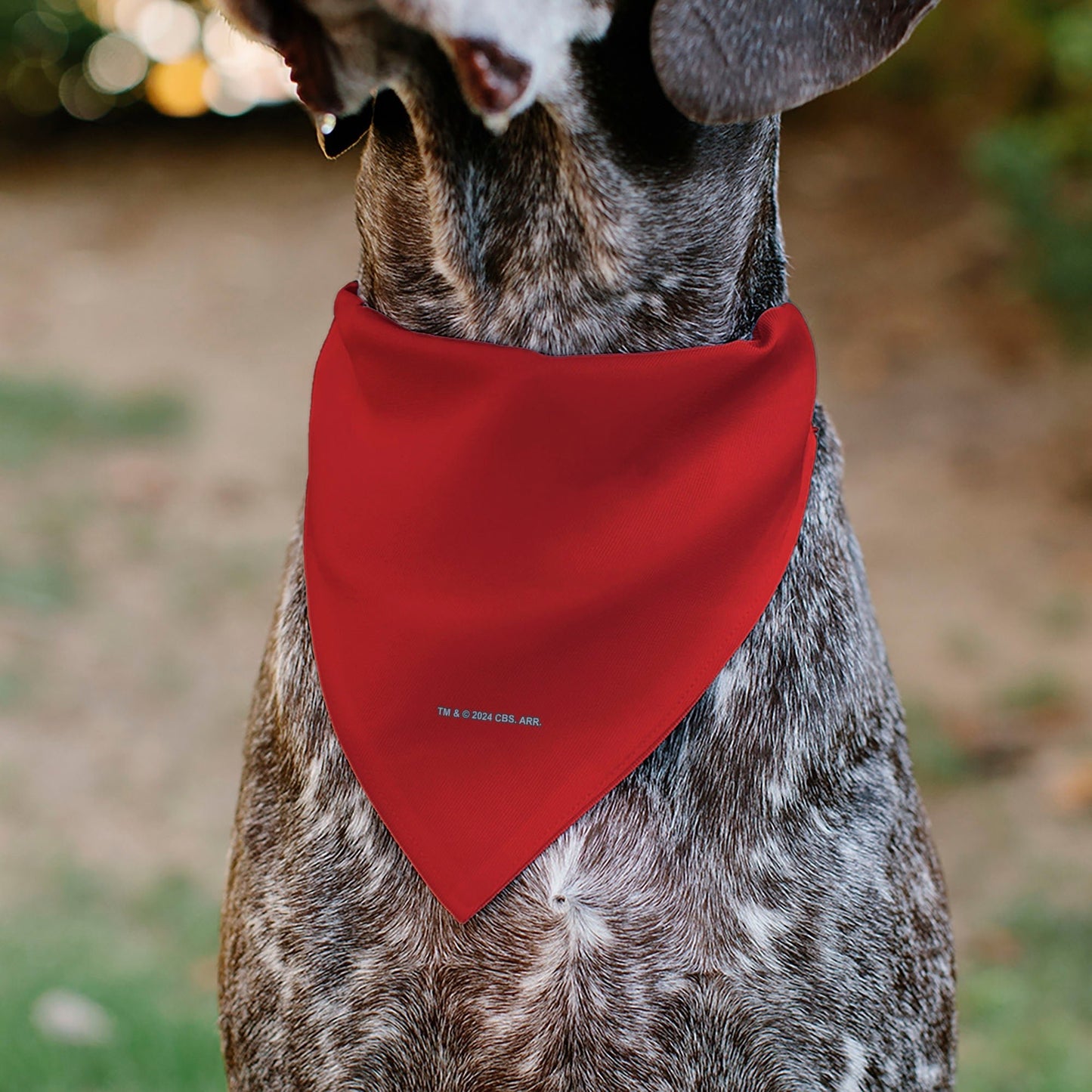 Star Trek Original Series Red Uniform Engineering Pet Bandana - Paramount Shop