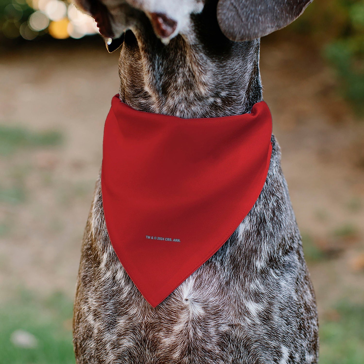 Star Trek Original Series Red Uniform Engineering Pet Bandana - Paramount Shop