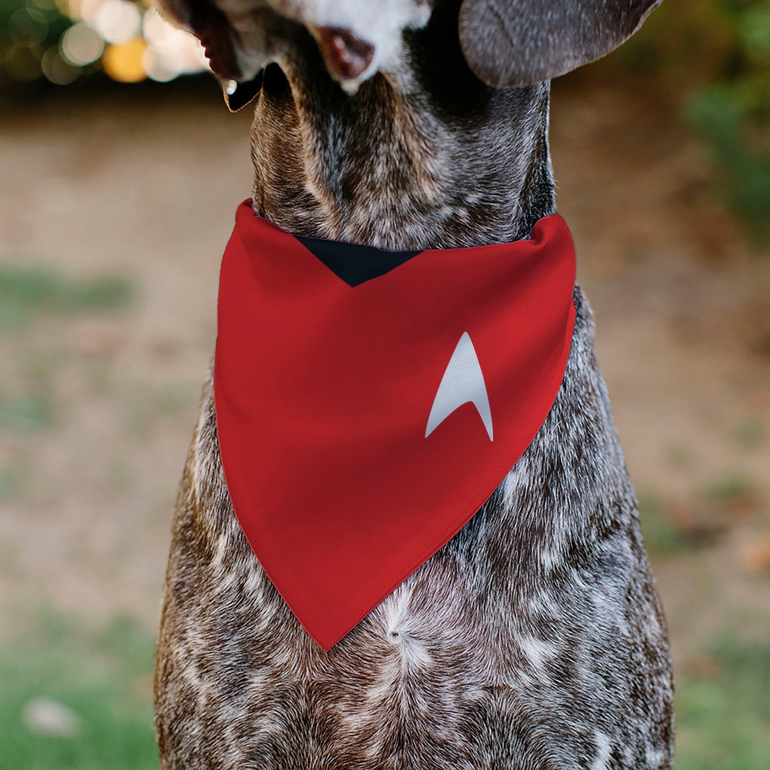 Star Trek Original Series Red Uniform Engineering Pet Bandana - Paramount Shop