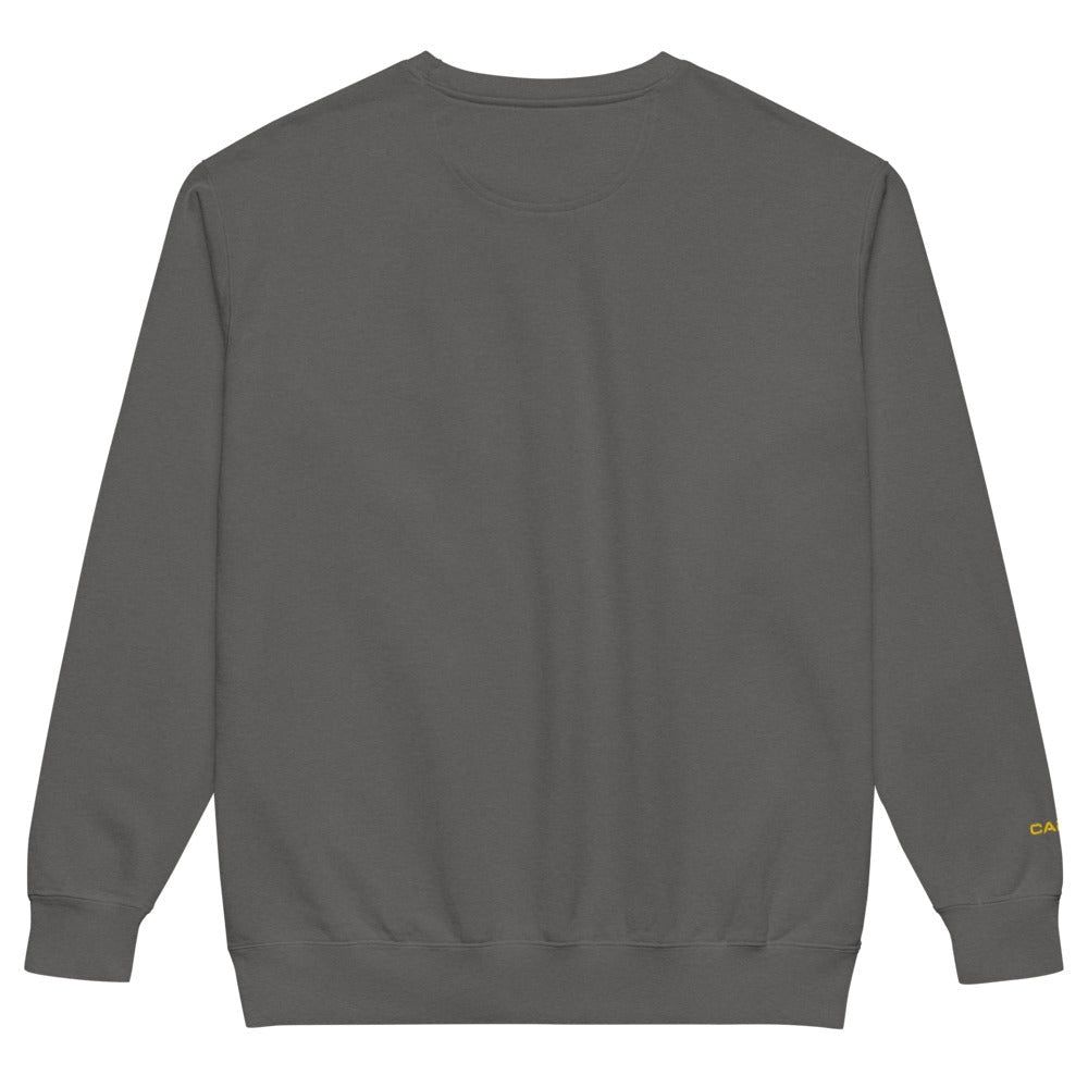 Star Trek: Starfleet Academy Sweatshirt Comfort Colors - Paramount Shop