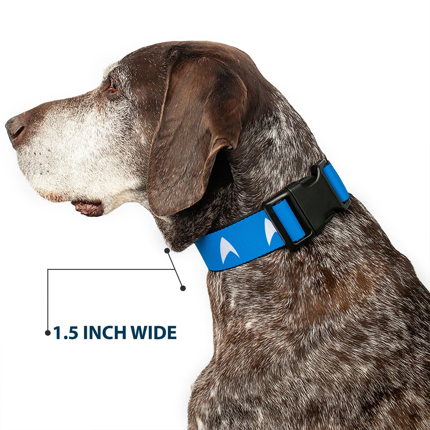 Star Trek Starfleet Insignia Blue Dog Collar with Clip - Paramount Shop