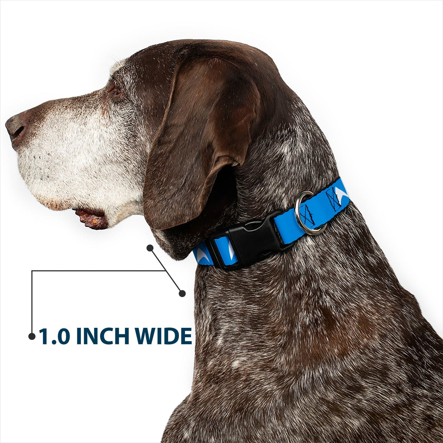 Star Trek Starfleet Insignia Blue Dog Collar with Clip - Paramount Shop