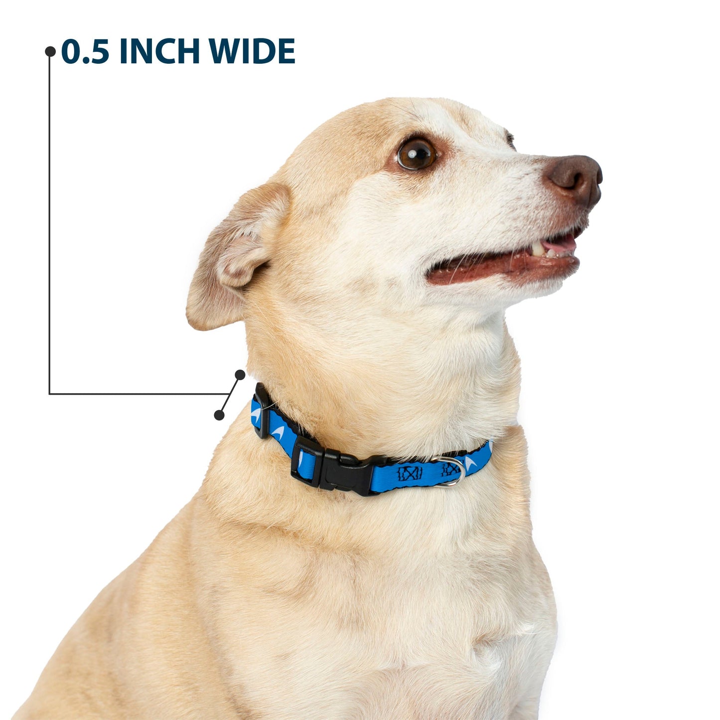 Star Trek Starfleet Insignia Blue Dog Collar with Clip - Paramount Shop