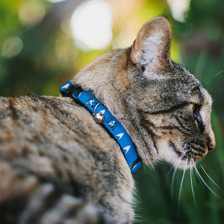 Star Trek Starfleet Insignia Breakaway Cat Collar with Bell - Paramount Shop