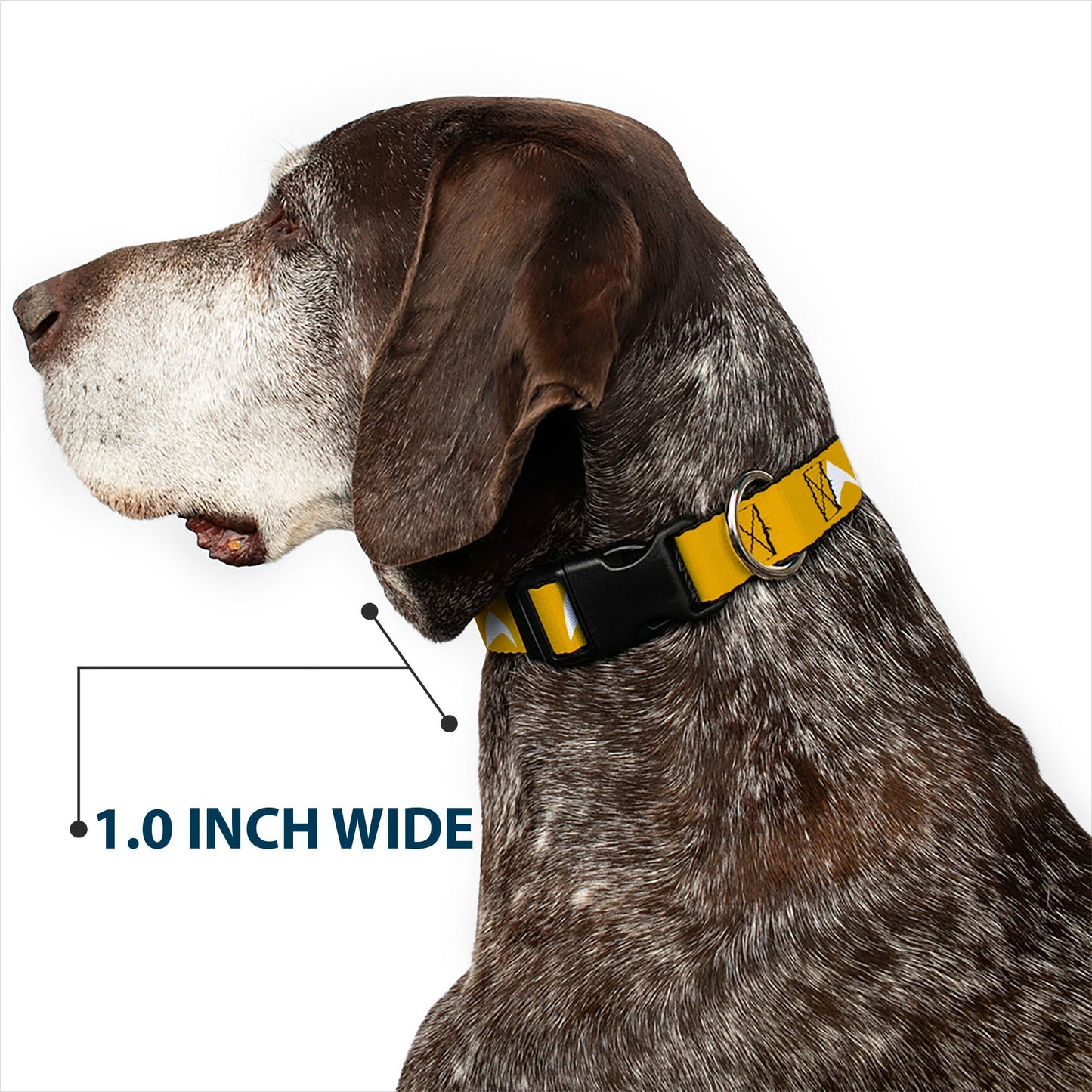Star Trek Starfleet Insignia Durable Yellow Pet Dog Collar - Paramount Shop