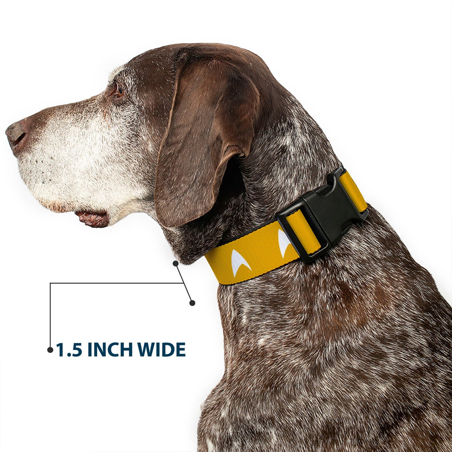 Star Trek Starfleet Insignia Durable Yellow Pet Dog Collar - Paramount Shop