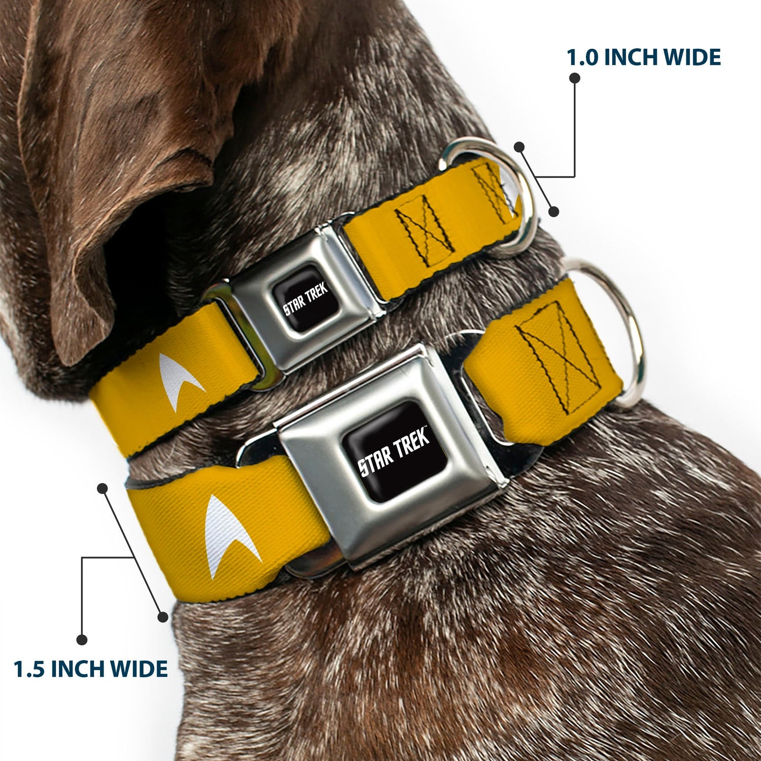 Star Trek Starfleet Insignia Seatbelt Buckle Dog Collar - Paramount Shop