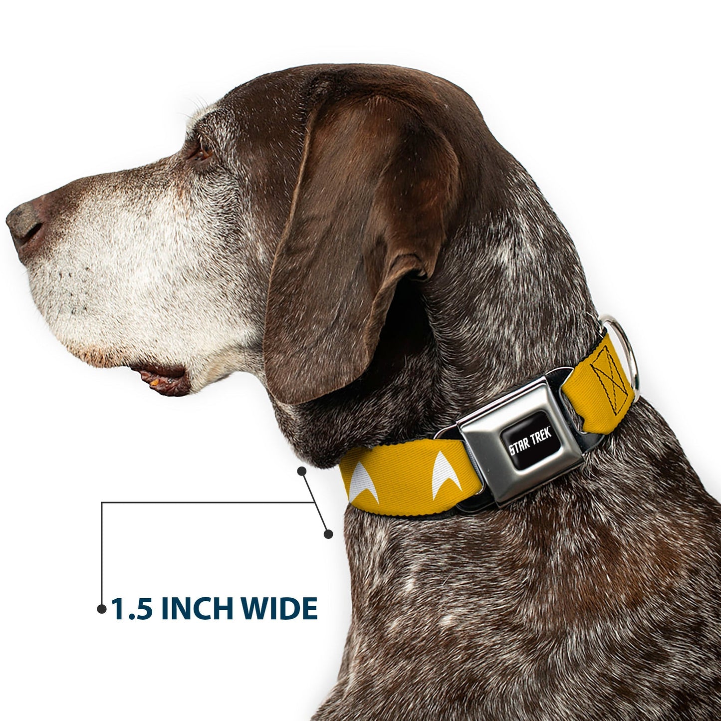 Star Trek Starfleet Insignia Seatbelt Buckle Dog Collar - Paramount Shop