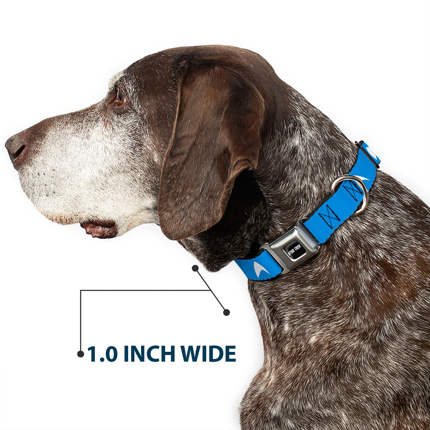 Star Trek Starfleet Insignia Seatbelt Buckle Dog Collar - Paramount Shop