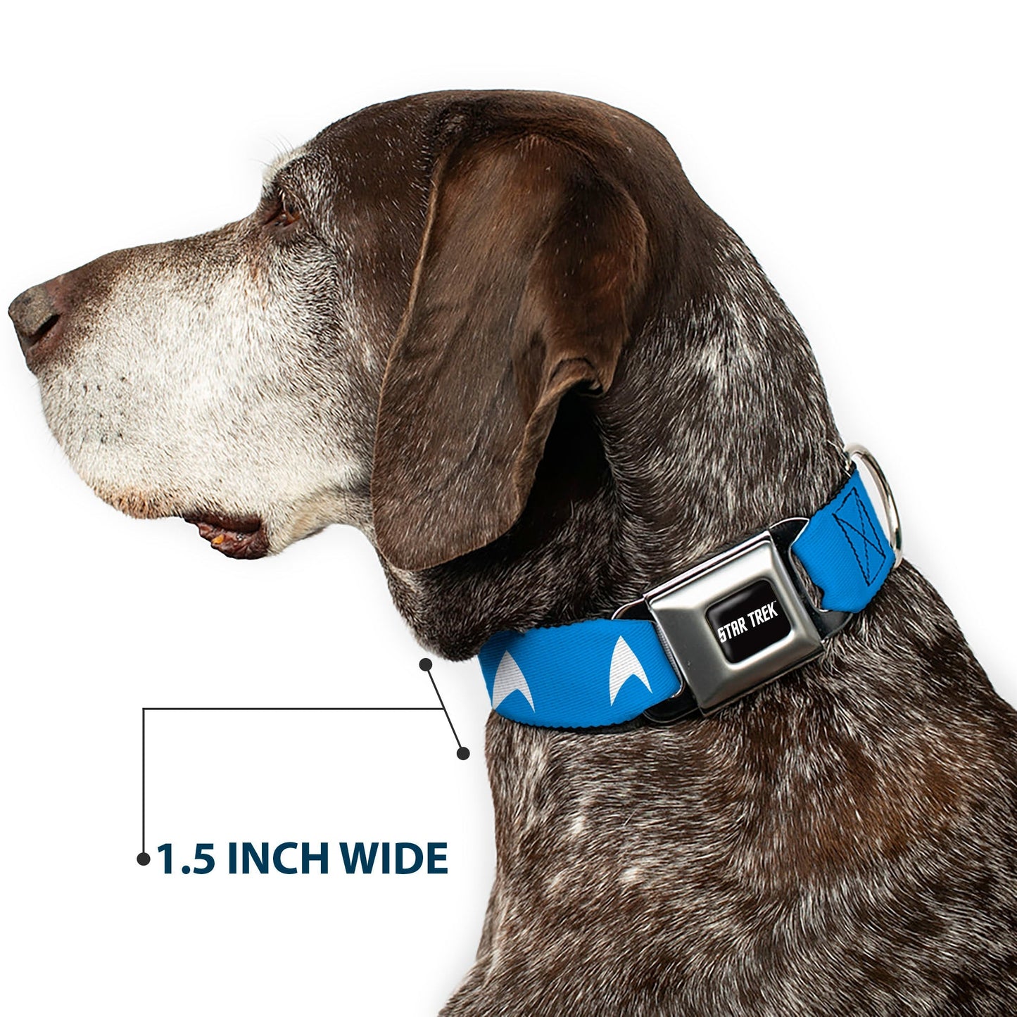 Star Trek Starfleet Insignia Seatbelt Buckle Dog Collar - Paramount Shop