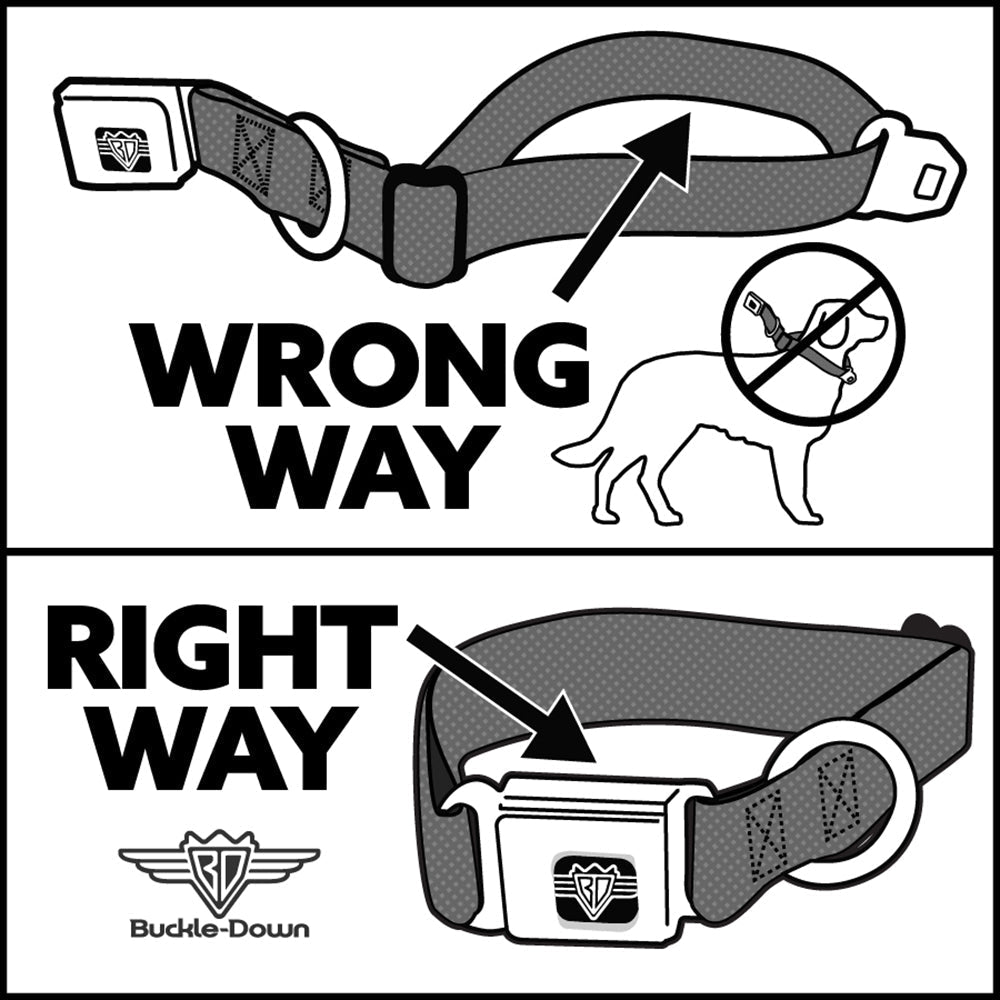 Star Trek Starfleet Insignia & Text Logo Seatbelt Dog Collar - Paramount Shop