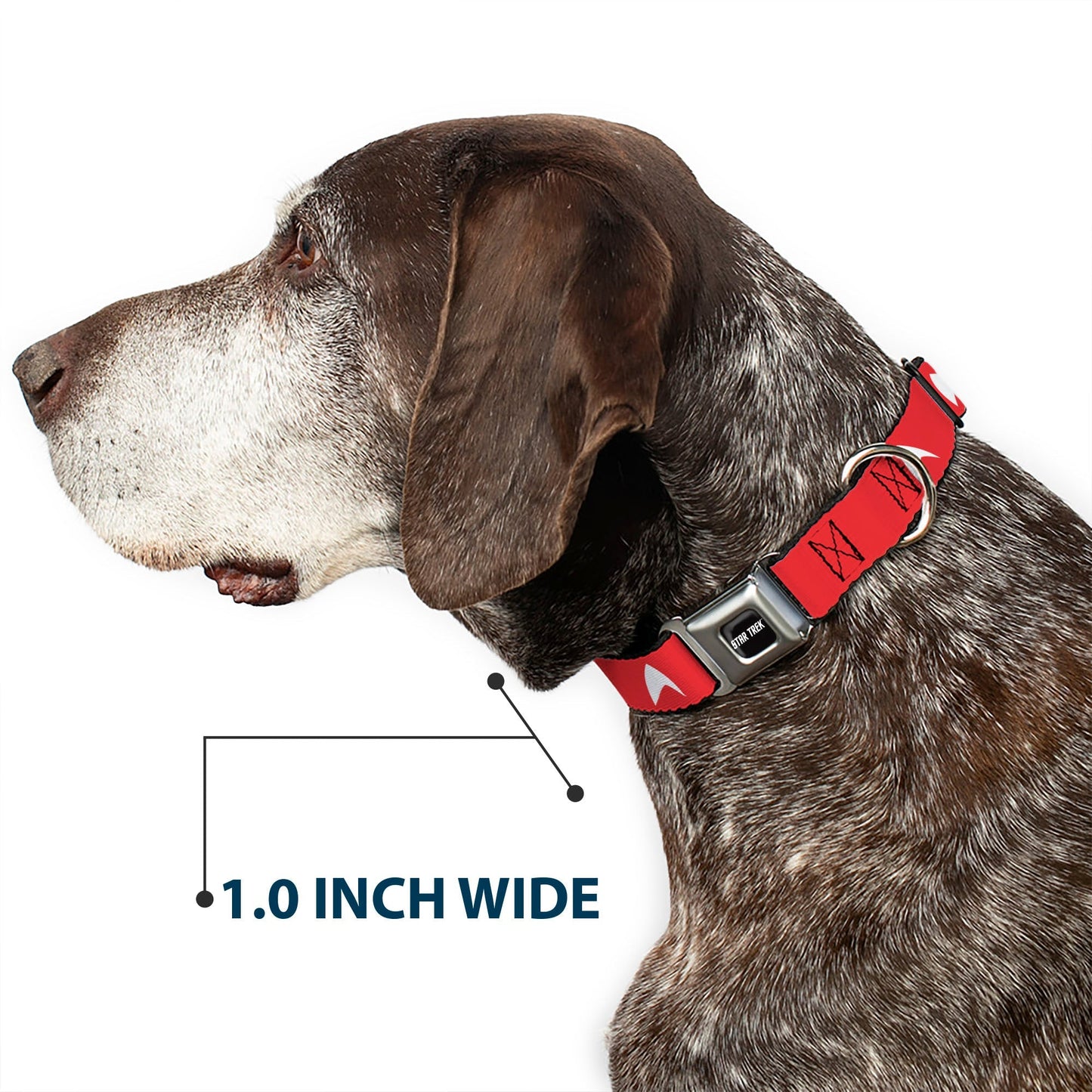 Star Trek Starfleet Insignia & Text Logo Seatbelt Dog Collar - Paramount Shop