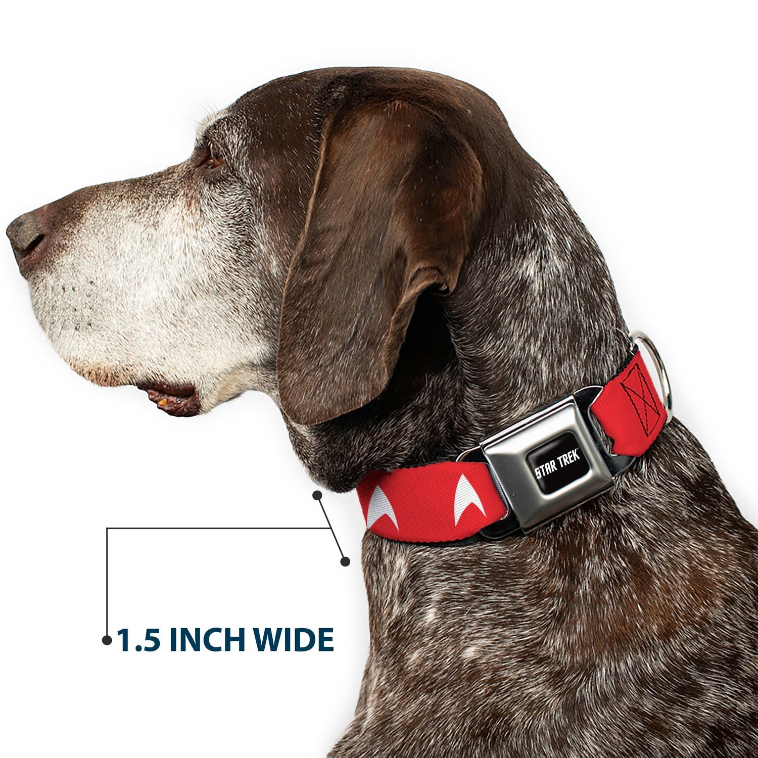 Star Trek Starfleet Insignia & Text Logo Seatbelt Dog Collar - Paramount Shop