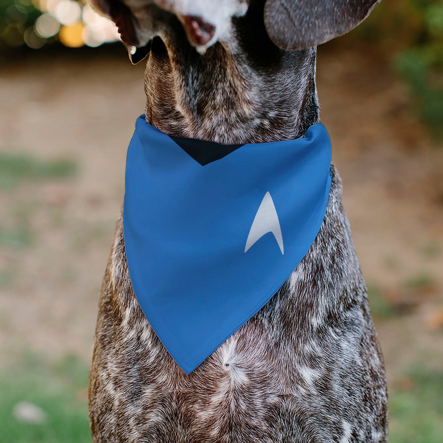 Star Trek TOS Blue Starfleet Uniform Over - Collar Pet Bandana - Paramount Shop