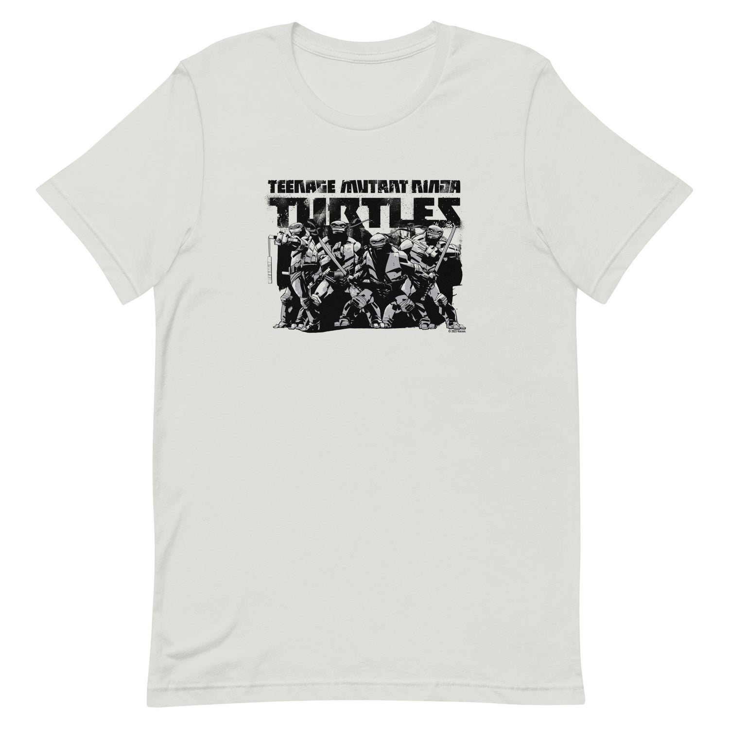 Teenage Mutant Ninja Turtles Characters Adult Short Sleeve T - Shirt - Paramount Shop