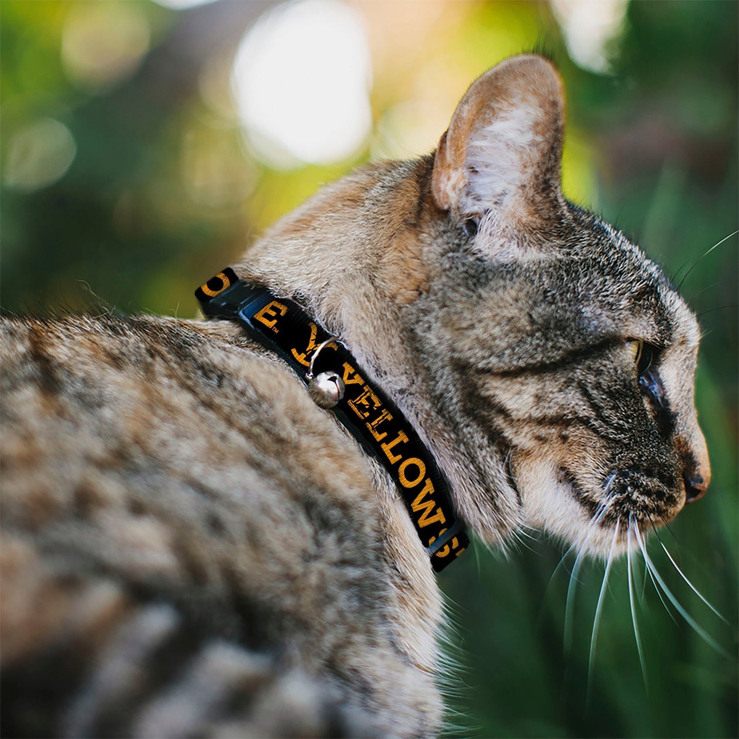 Close up of the orange breakaway buckle and silver bell on the Yellowstone collar