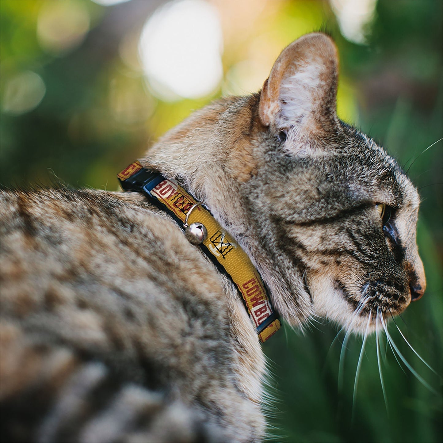 Close-up of the breakaway safety buckle on the Yellowstone cat collar