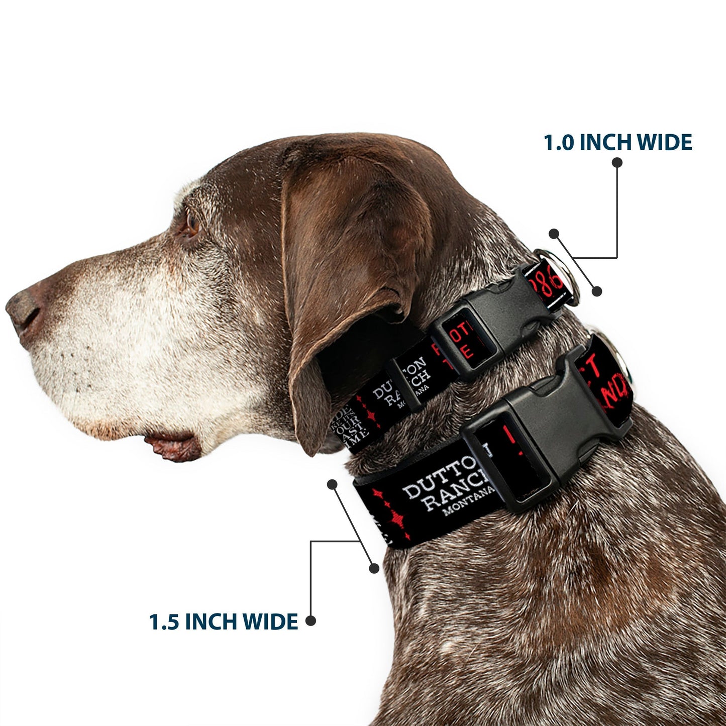 Close up of the durable plastic clip on the Yellowstone pet collar