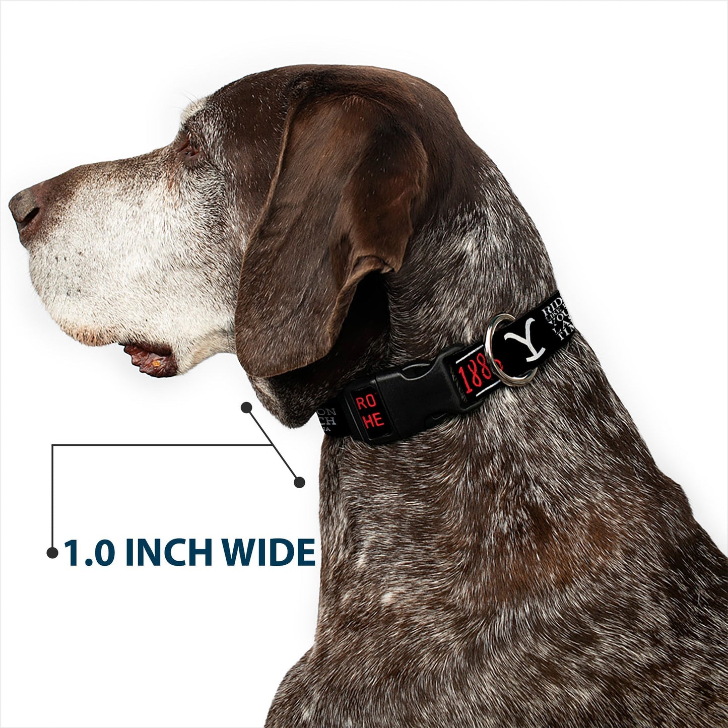 Side view of the Yellowstone branded dog collar buckle