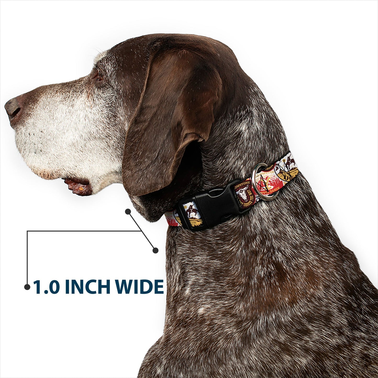 Official Yellowstone logo and patch collage on collar