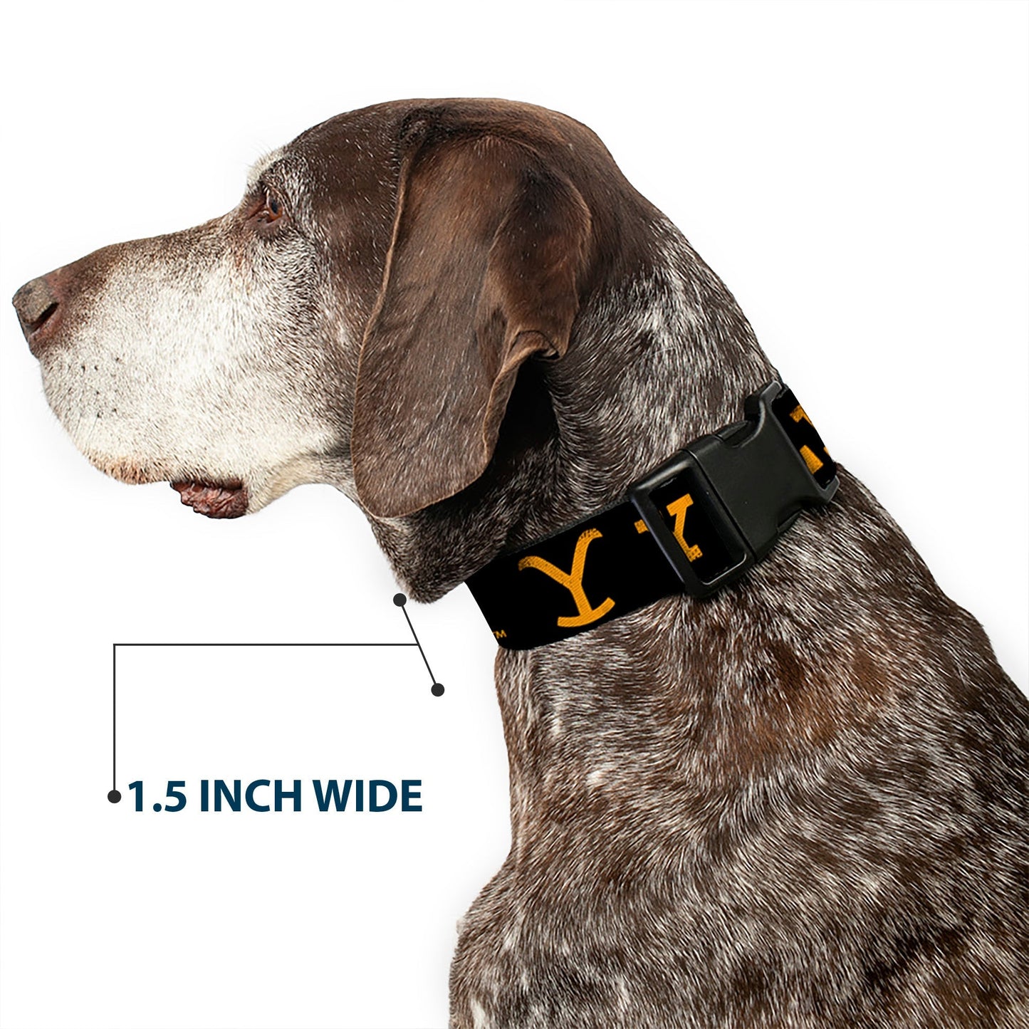 Official Yellowstone licensed dog collar with plastic clip
