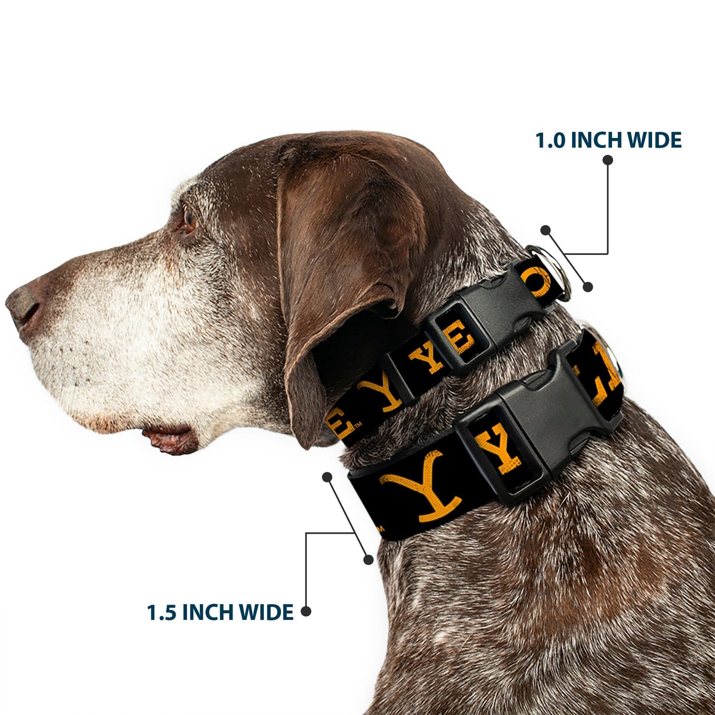 Durable plastic clip buckle closure on Yellowstone pet collar